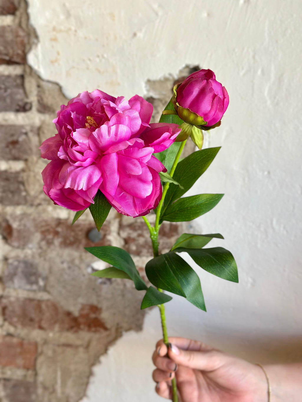 26" Garden Peony & Bud- Fuschia