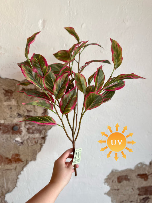 21" UV-Rated Cordyline Stem