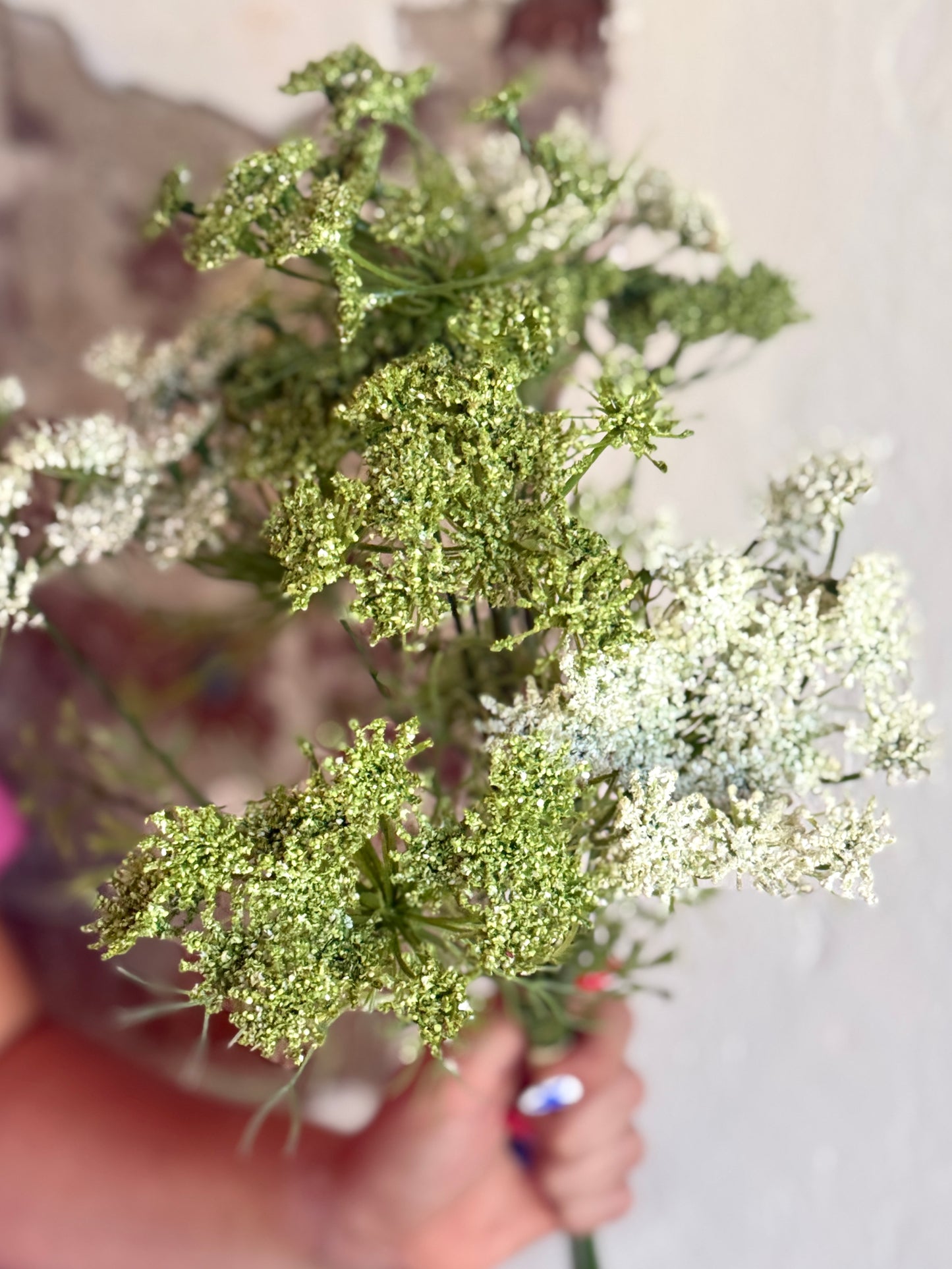 19.5" QUEEN ANNE'S LACE BUNDLE (Multiple Options)