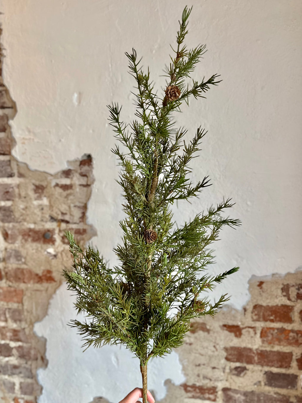 2.75' Larix Tree Branch w/ Cones
