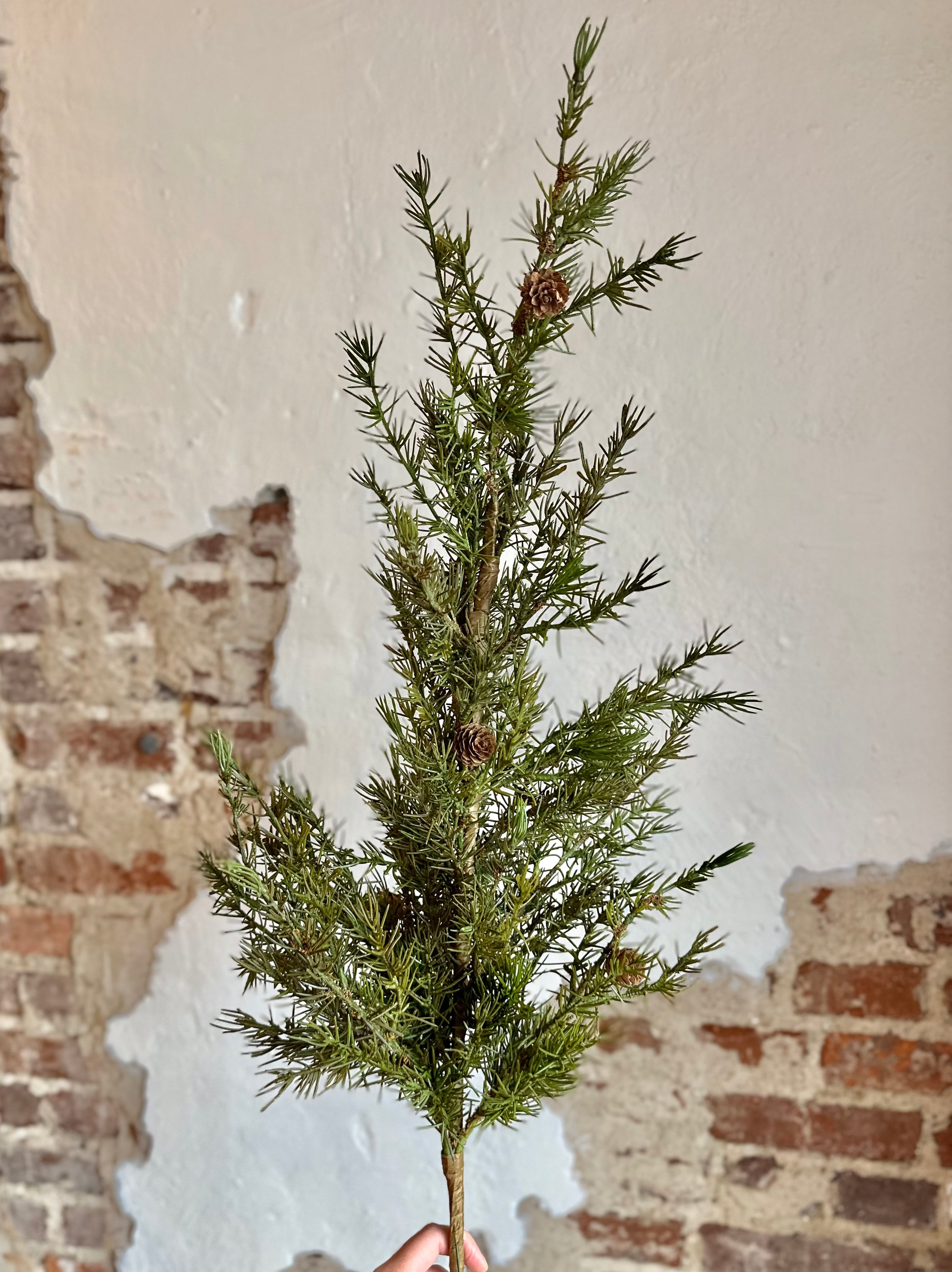 2.75' Larix Tree Branch w/ Cones