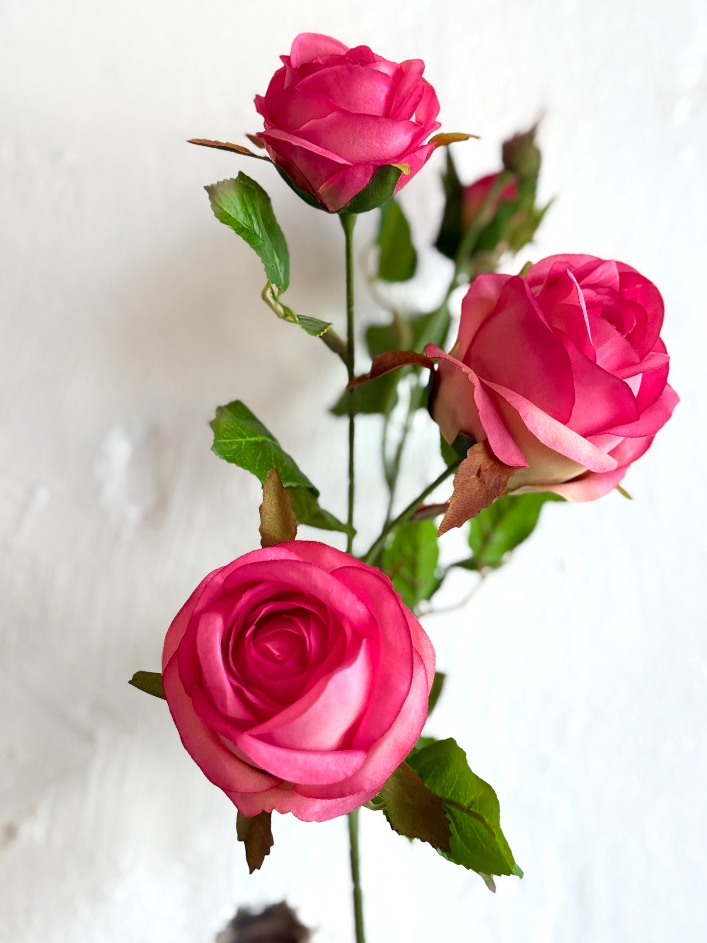 25" ROSE SPRAY
