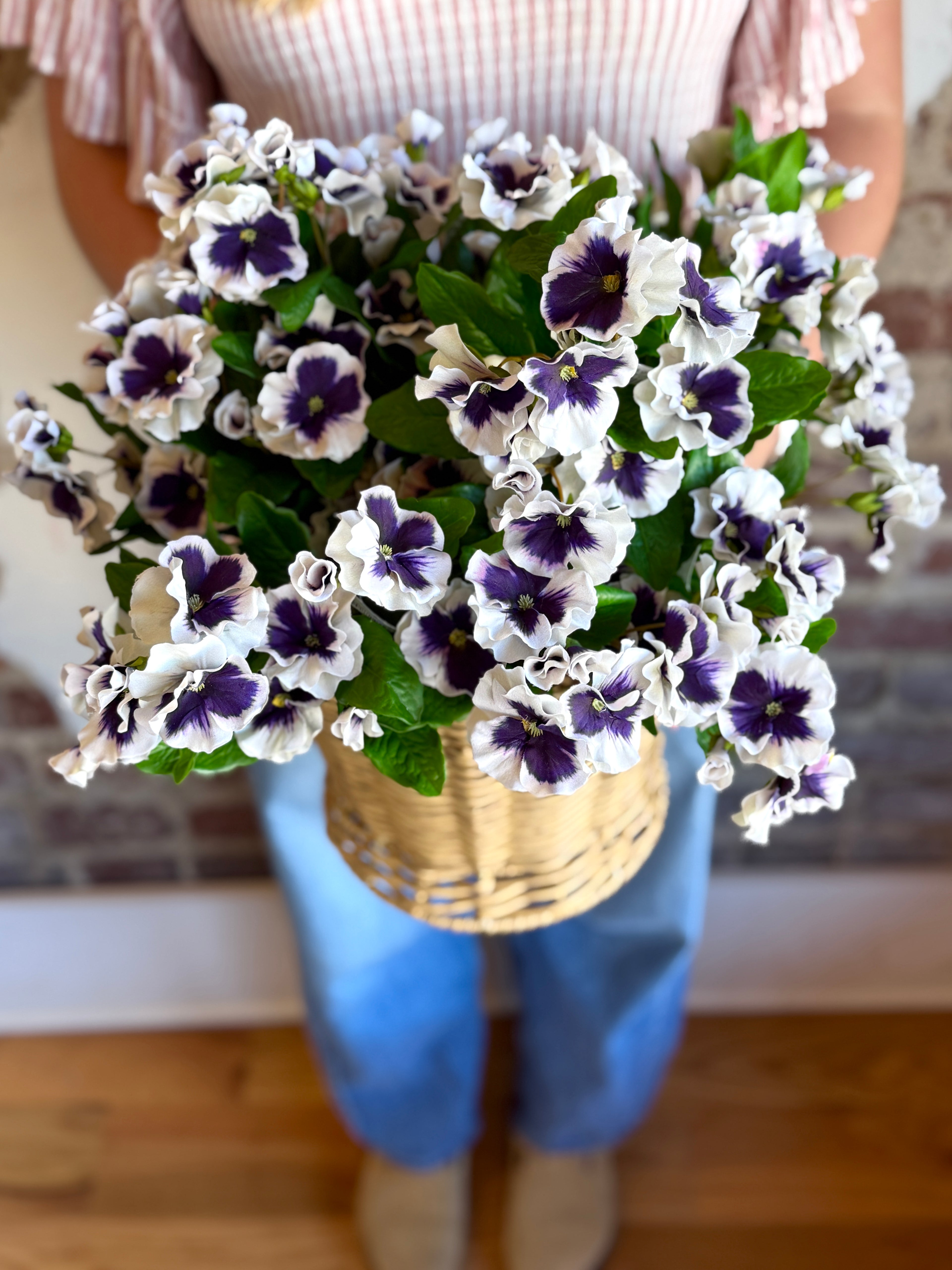 UV PANSY PLANT X7 10.5"