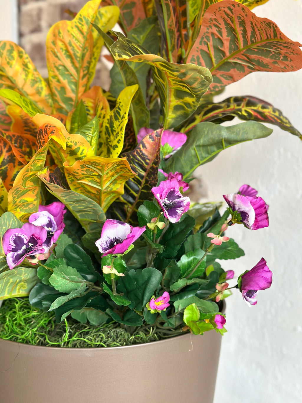 Croton Arrangement