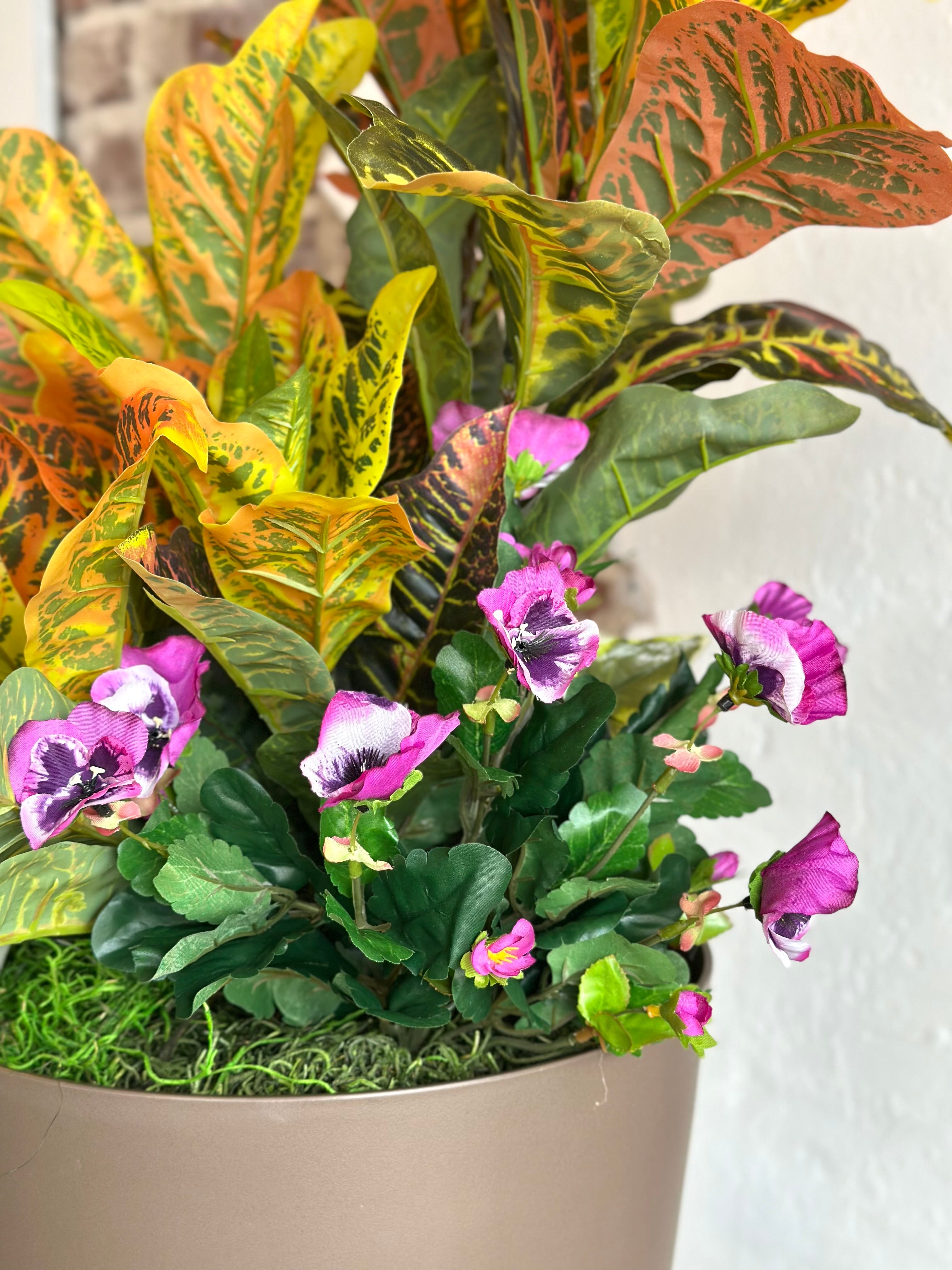 Croton Arrangement