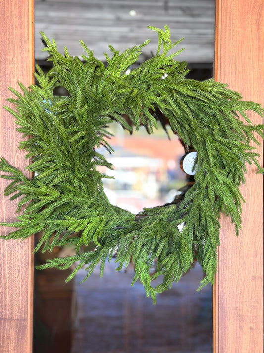 24" JUST CUT NORFOLK PINE WREATH