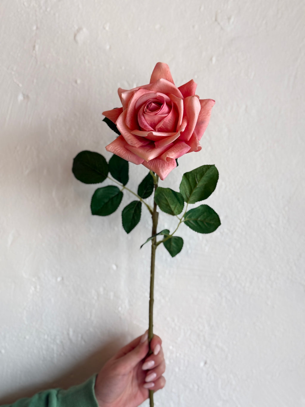 25" Coral Real Touch Duchess Rose Stem