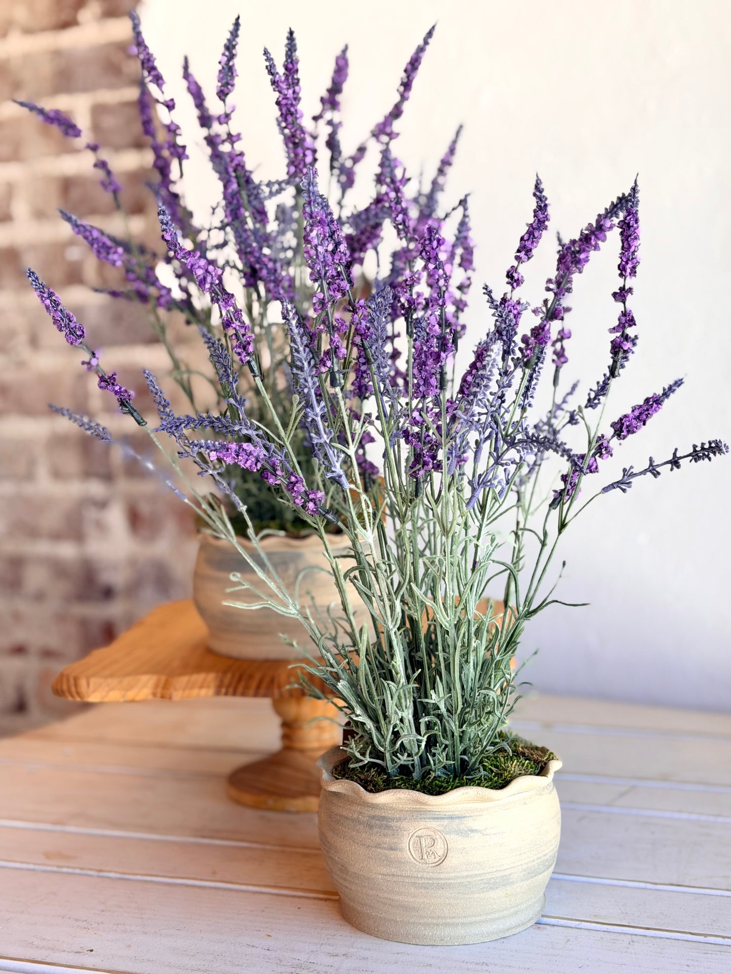 Potted Lavender