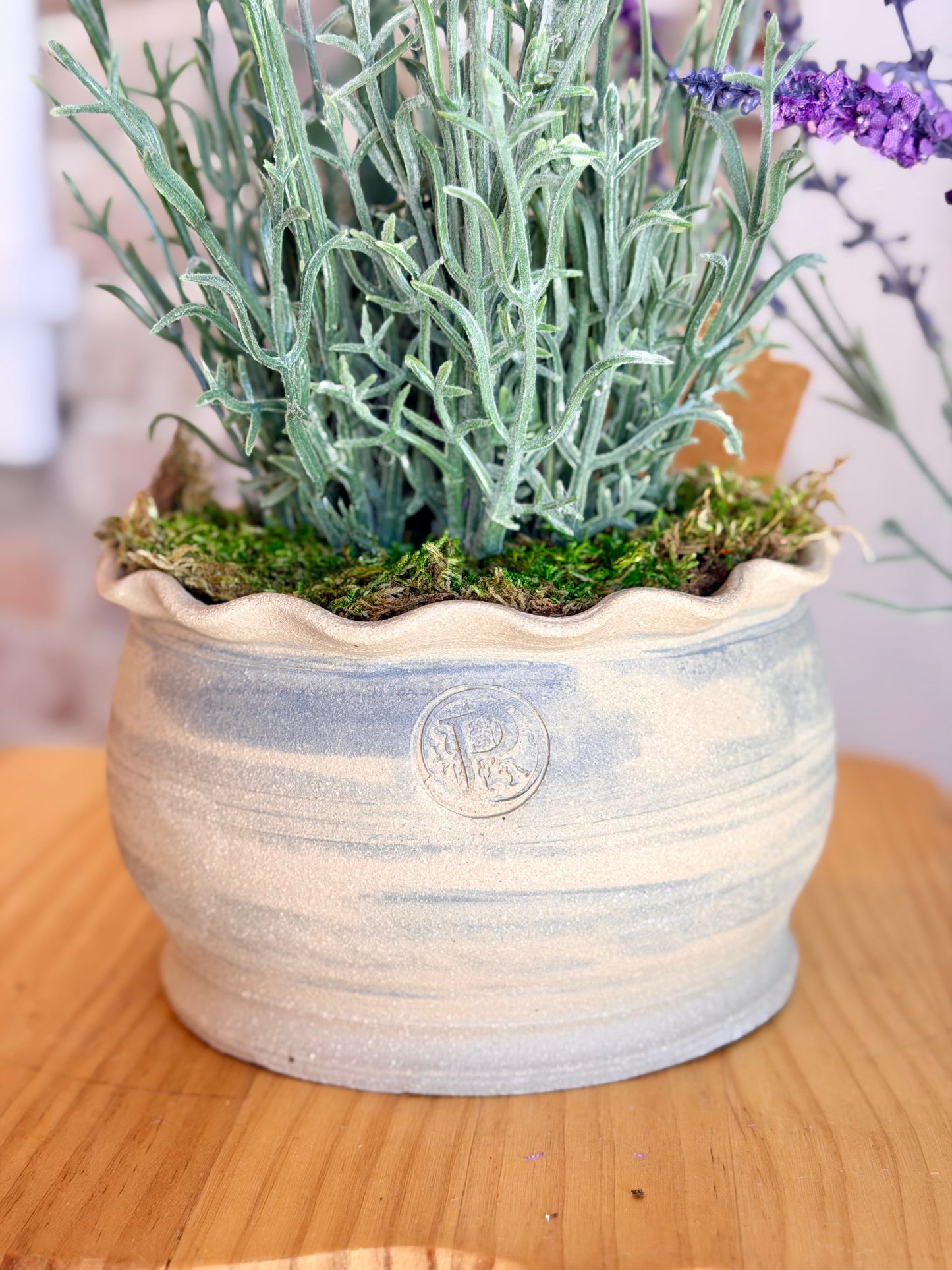 Potted Lavender