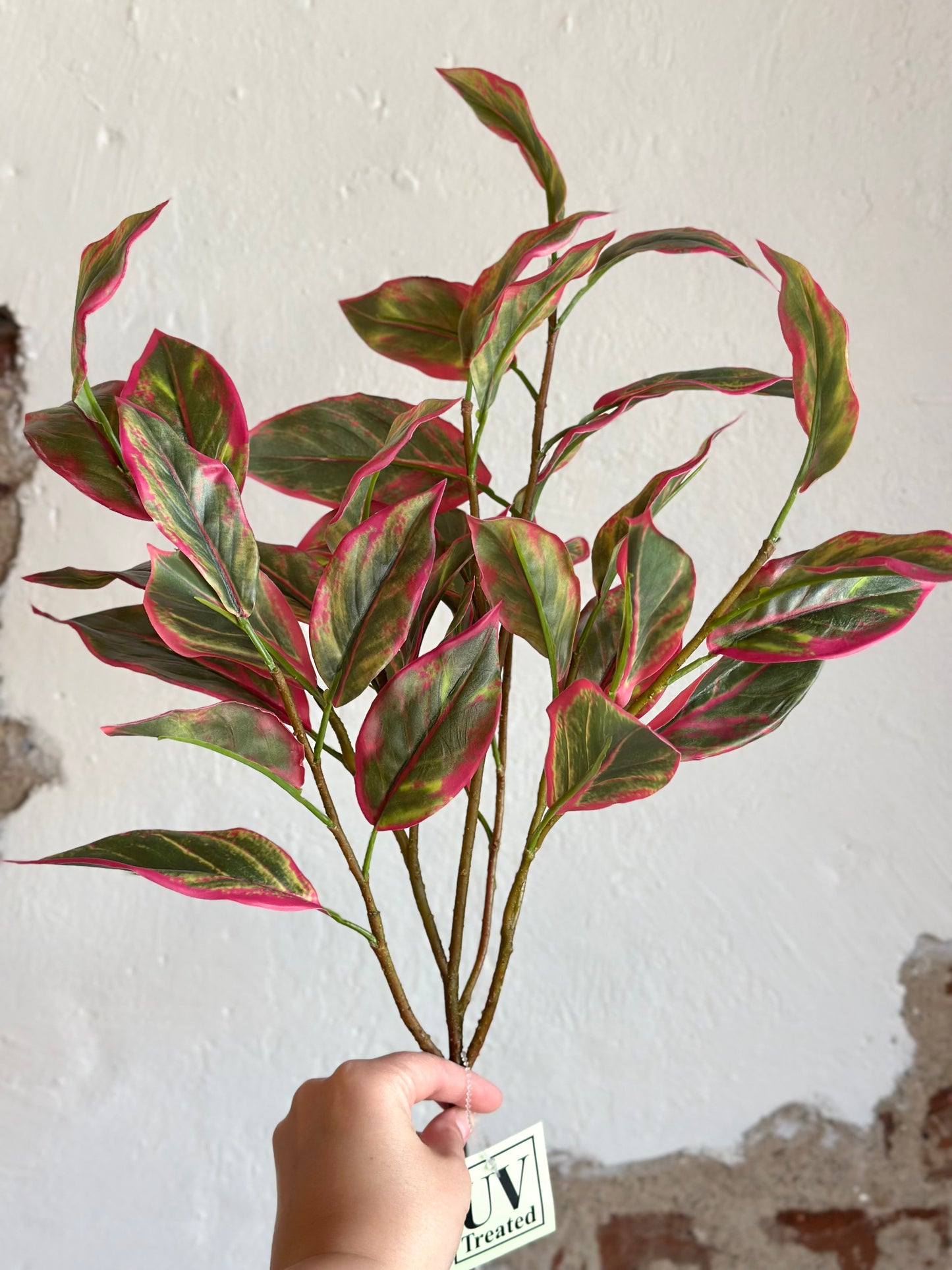 21" UV-Rated Cordyline Stem