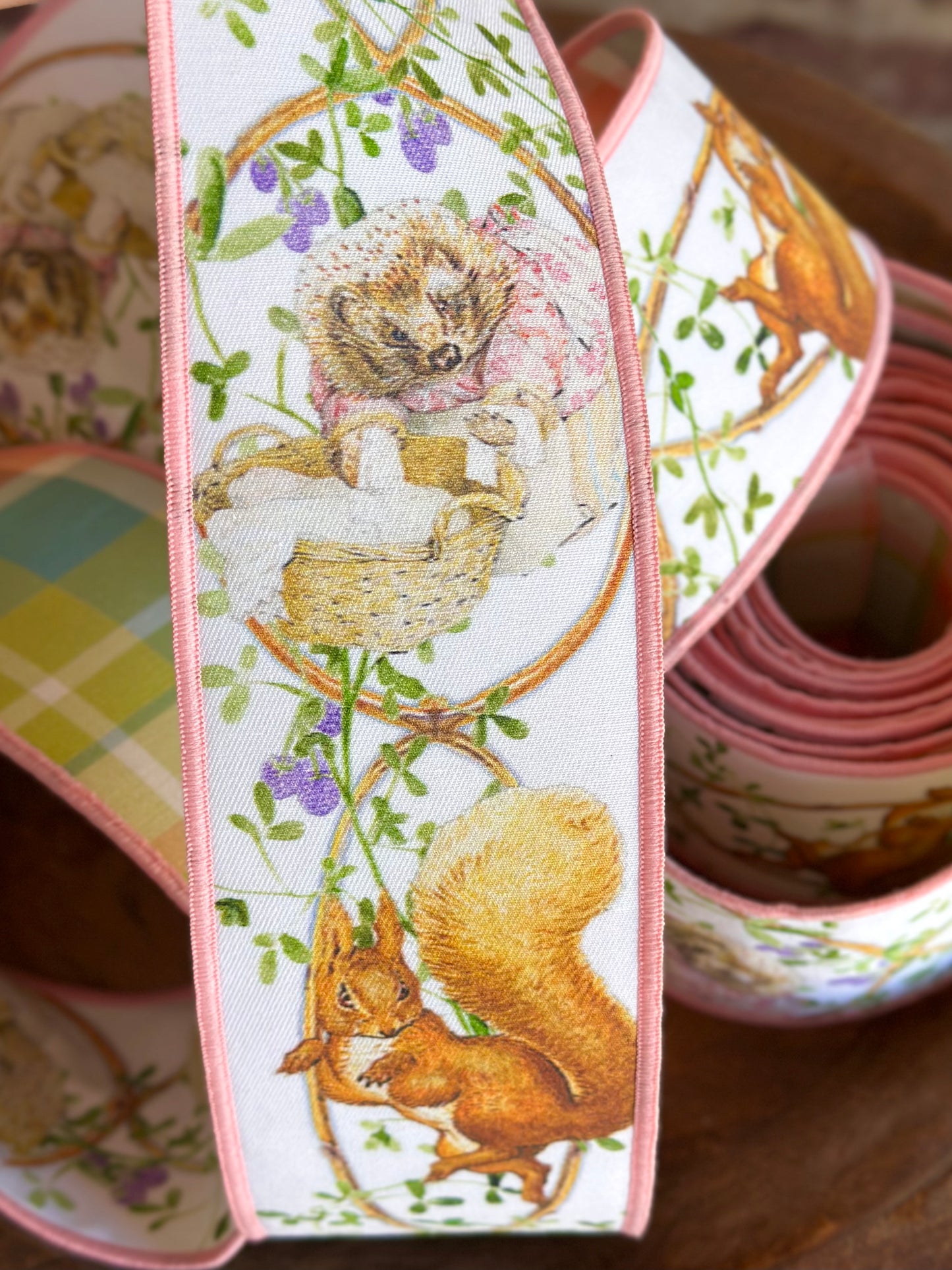 Mrs. Tiggy-Winkle & Squirrel Nutkin Ribbon