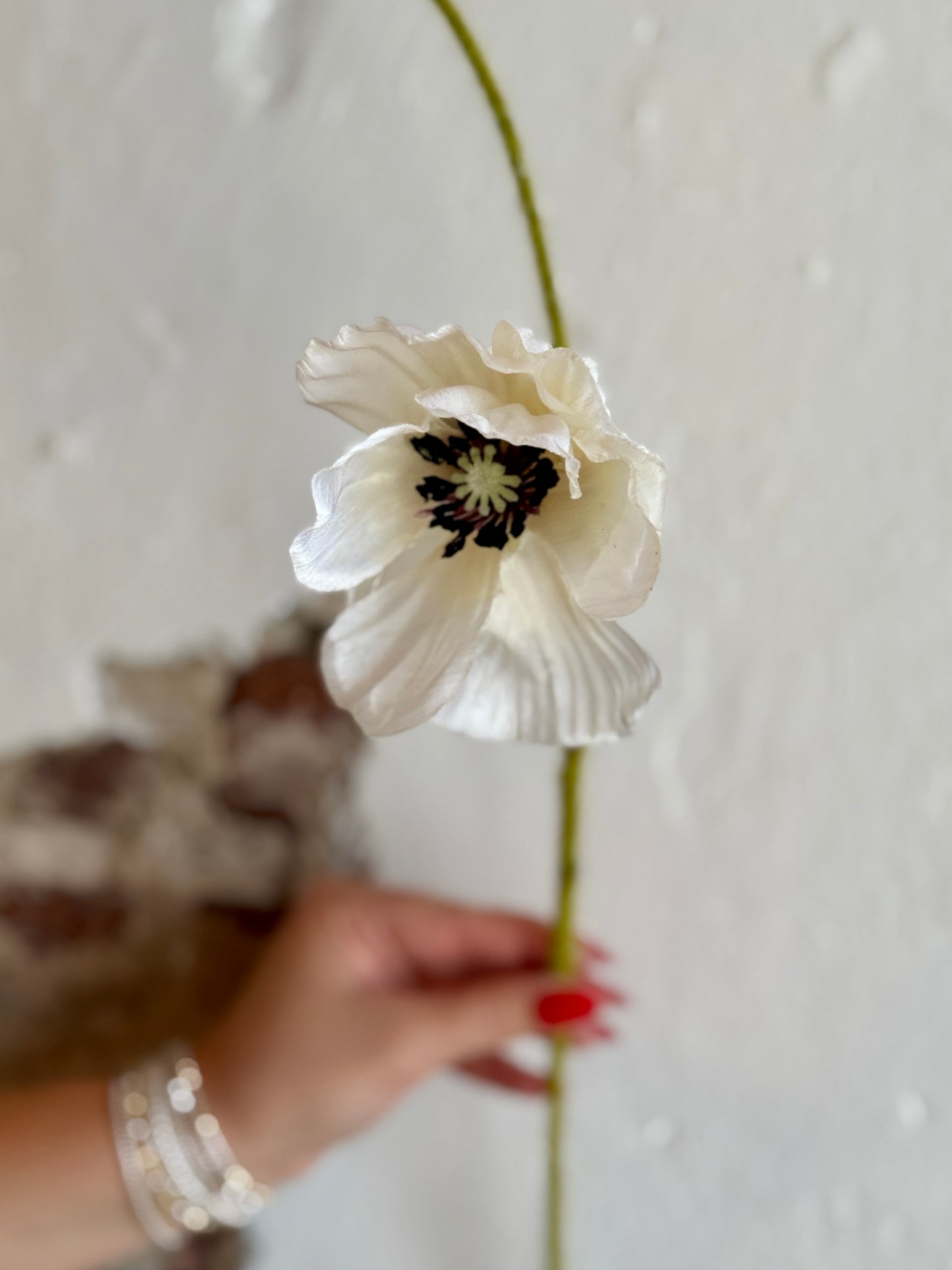 25” Poppy Stem and Bud (Multiple Options)