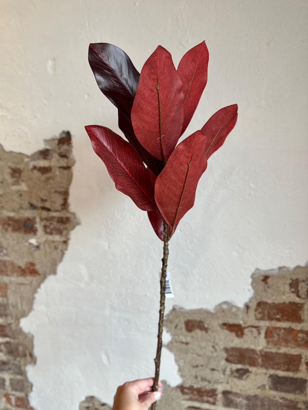 32” Burgundy Magnolia Spray