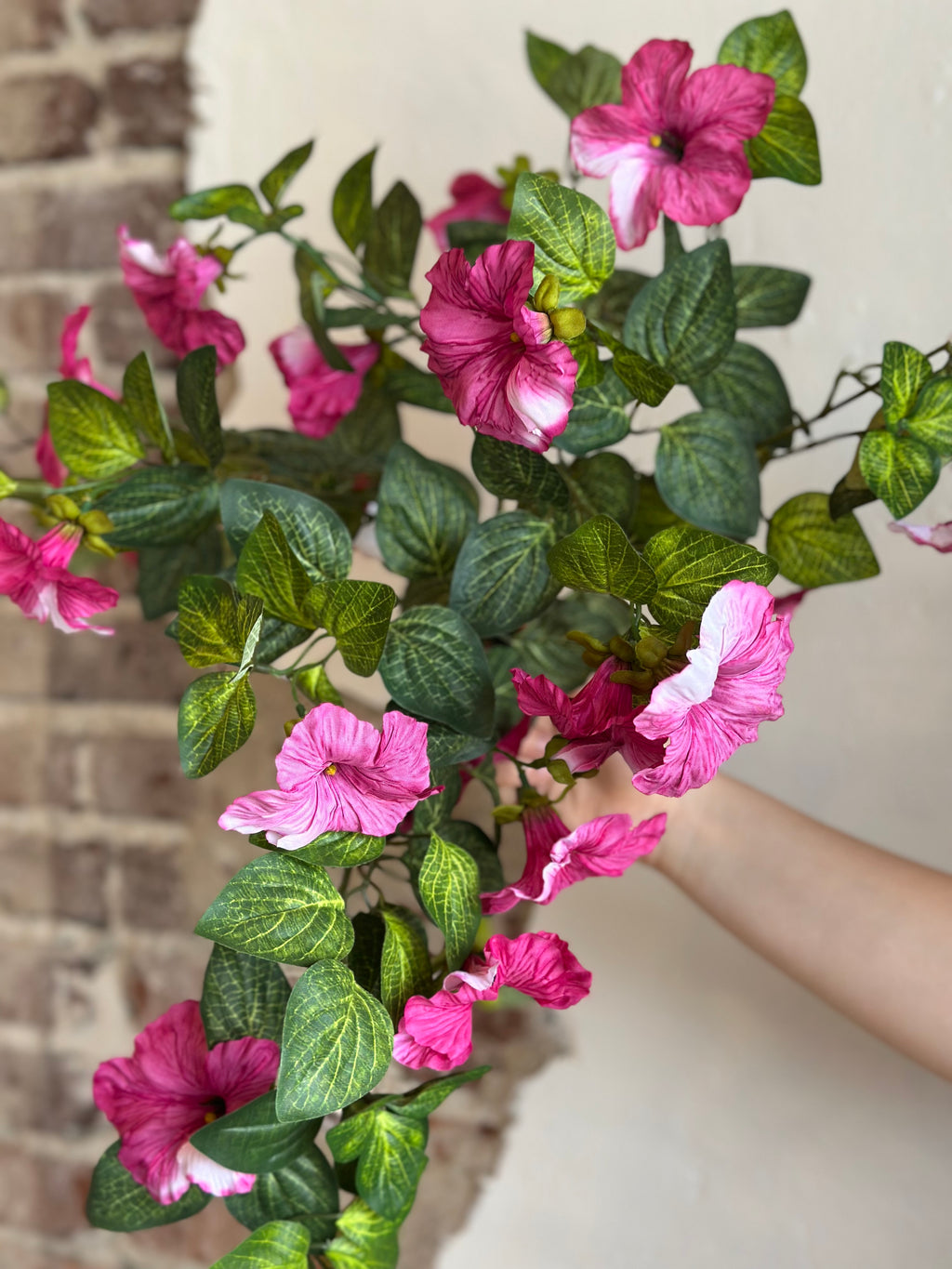 18" Petunia Bush/Vine - Magenta