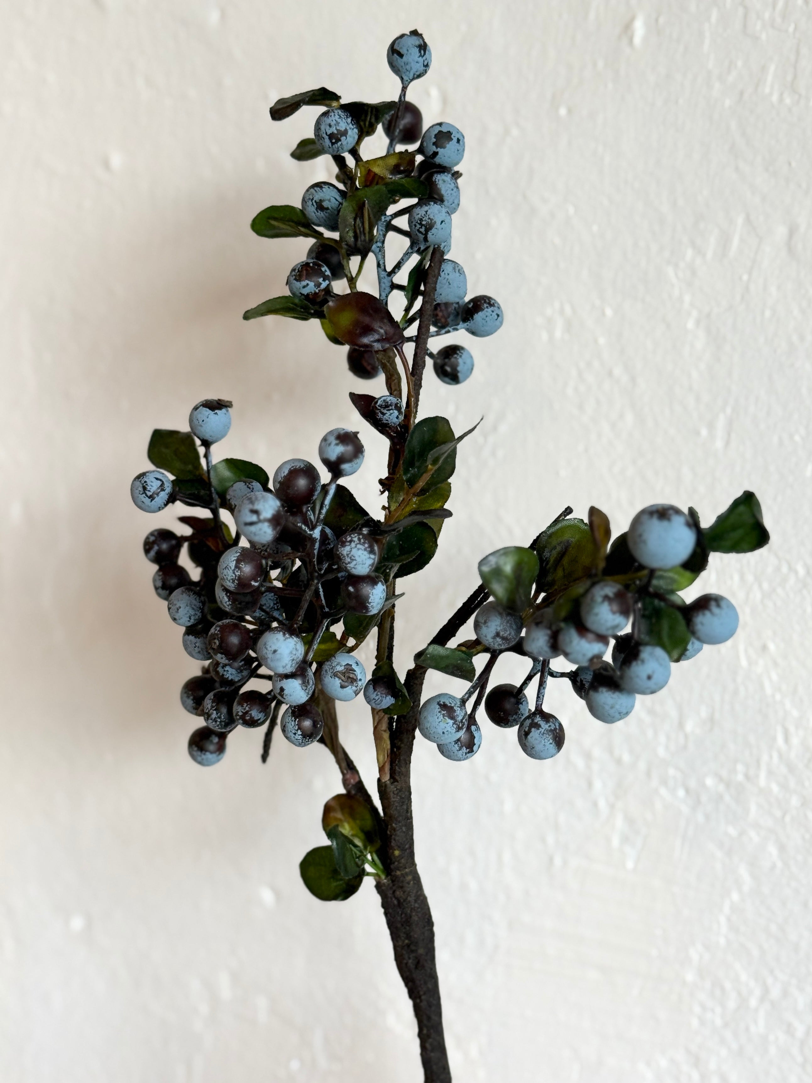 BLUEBERRY CLUSTER X3 18"