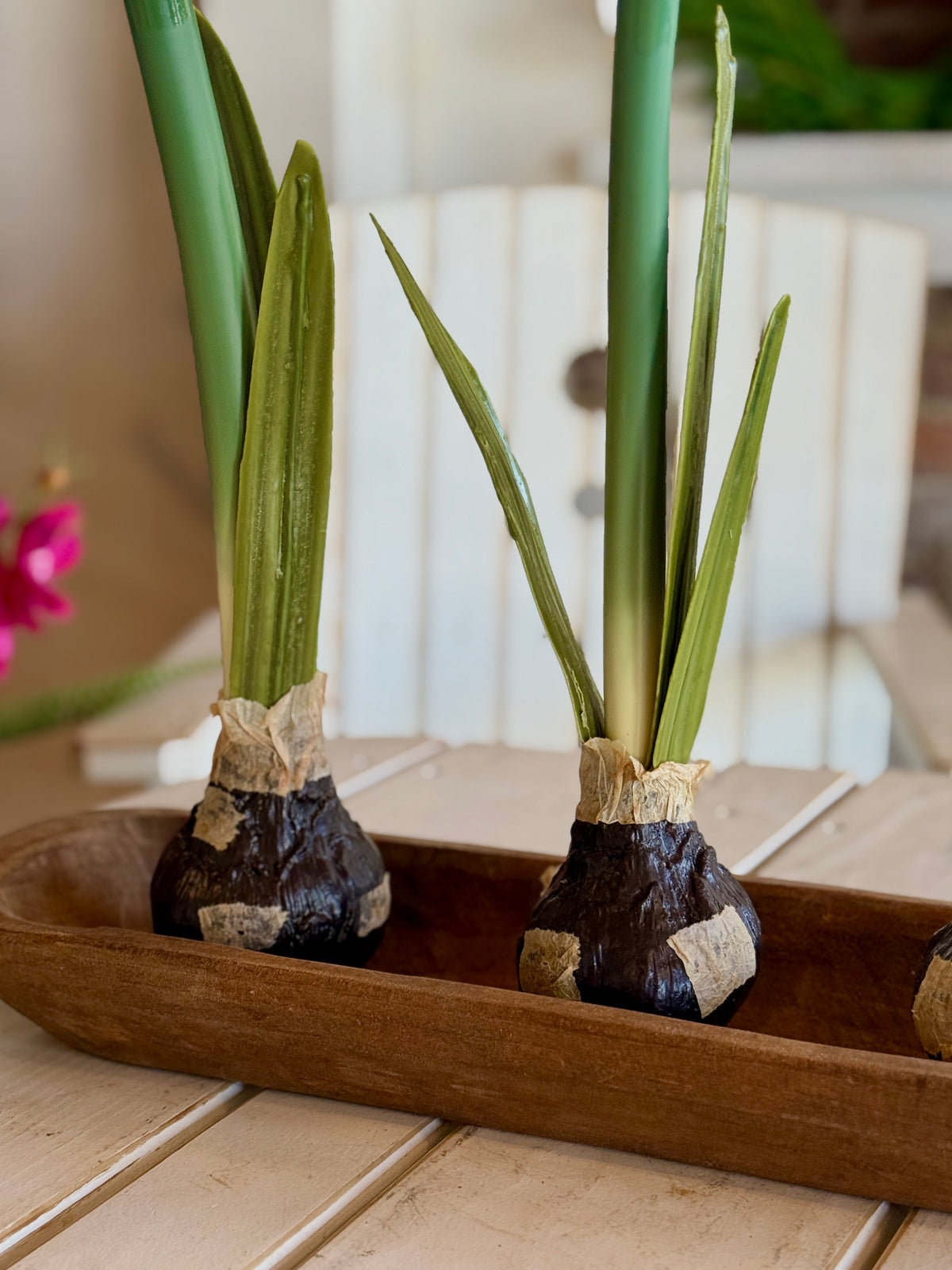 19" Real Touch White Amaryllis Bulb