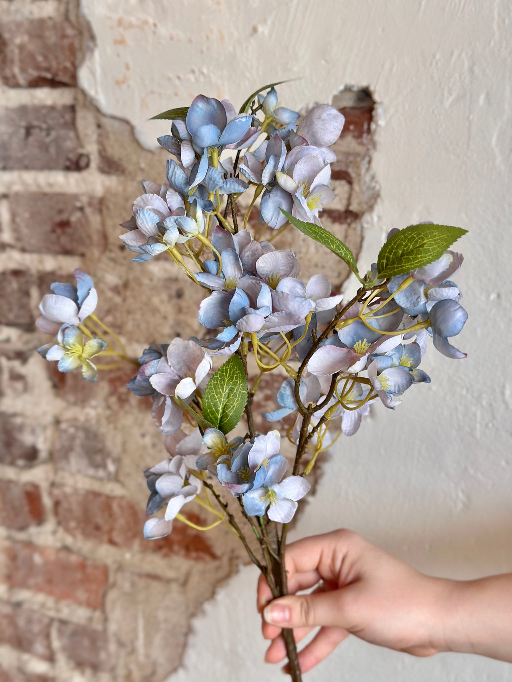 25" Dried Apple Blossom Spray
