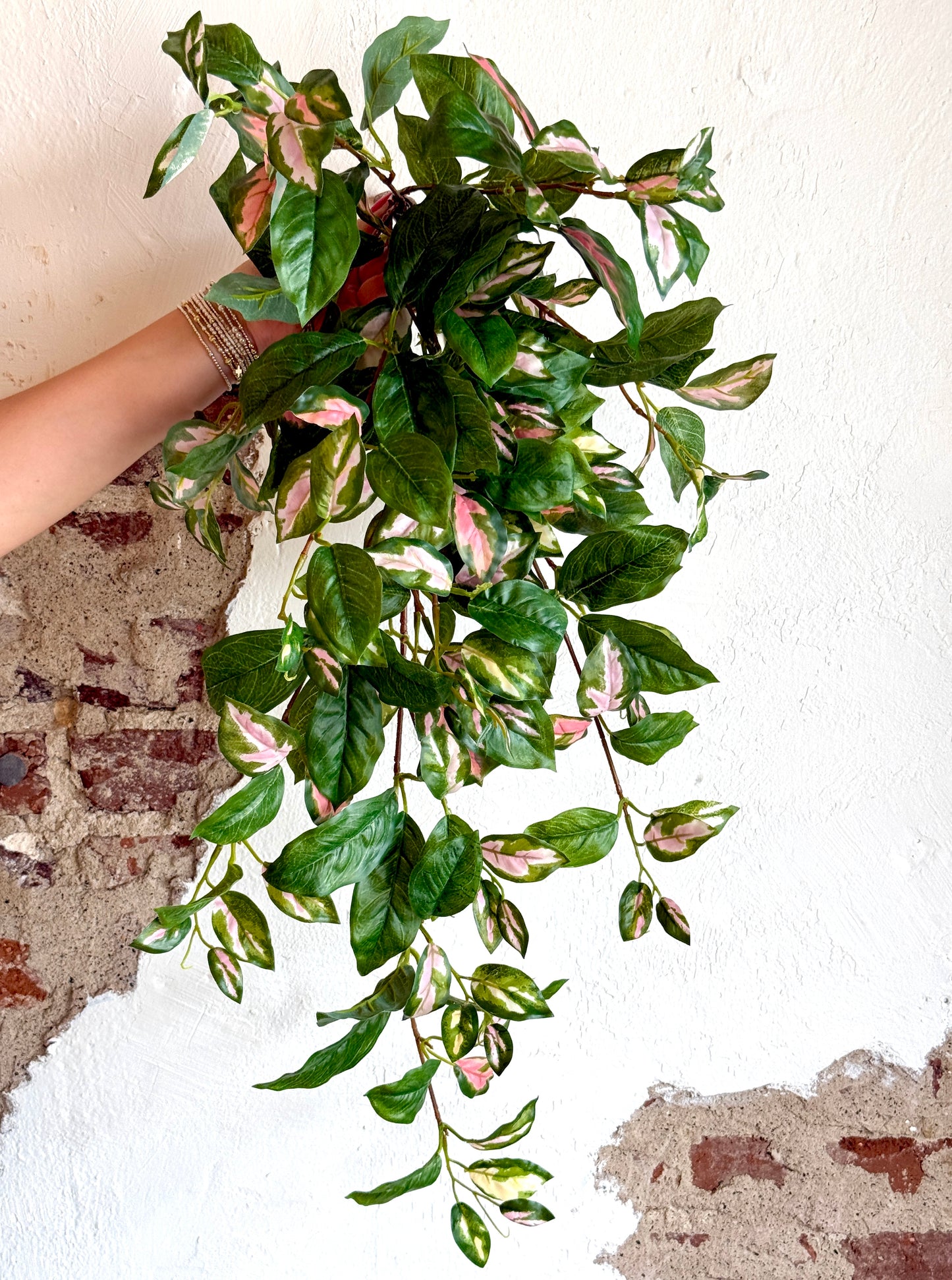 31" HOYA BUSH VINE, GREEN/PINK