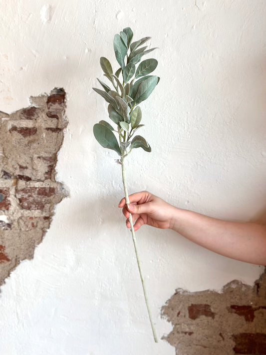 29" Lambs Ear Stem