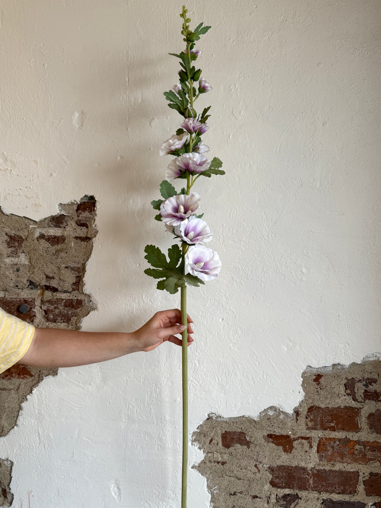 43" Purple Hollyhock Stem