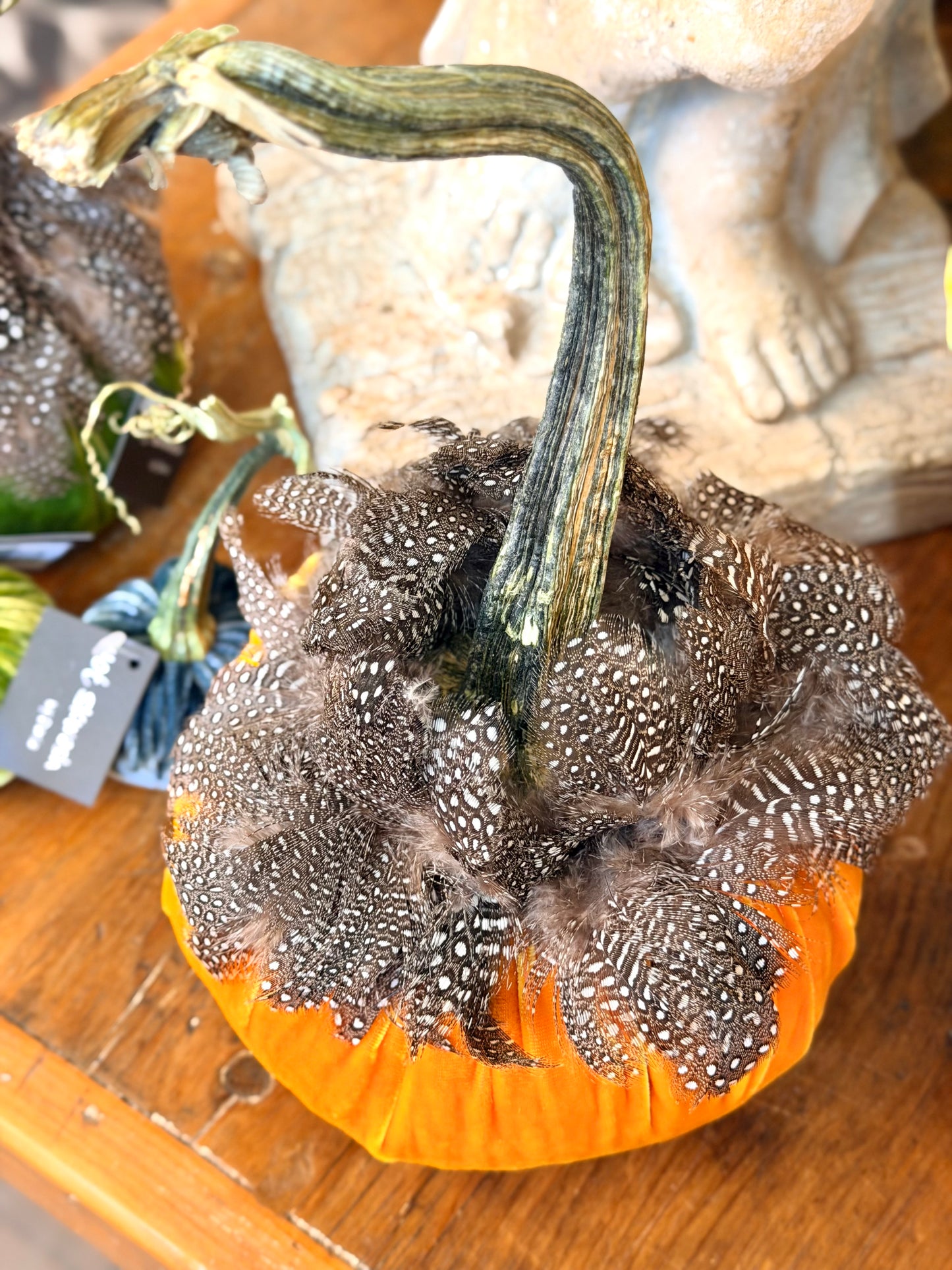 6" Carrot Velvet Pumpkin Guinea Feather Collar