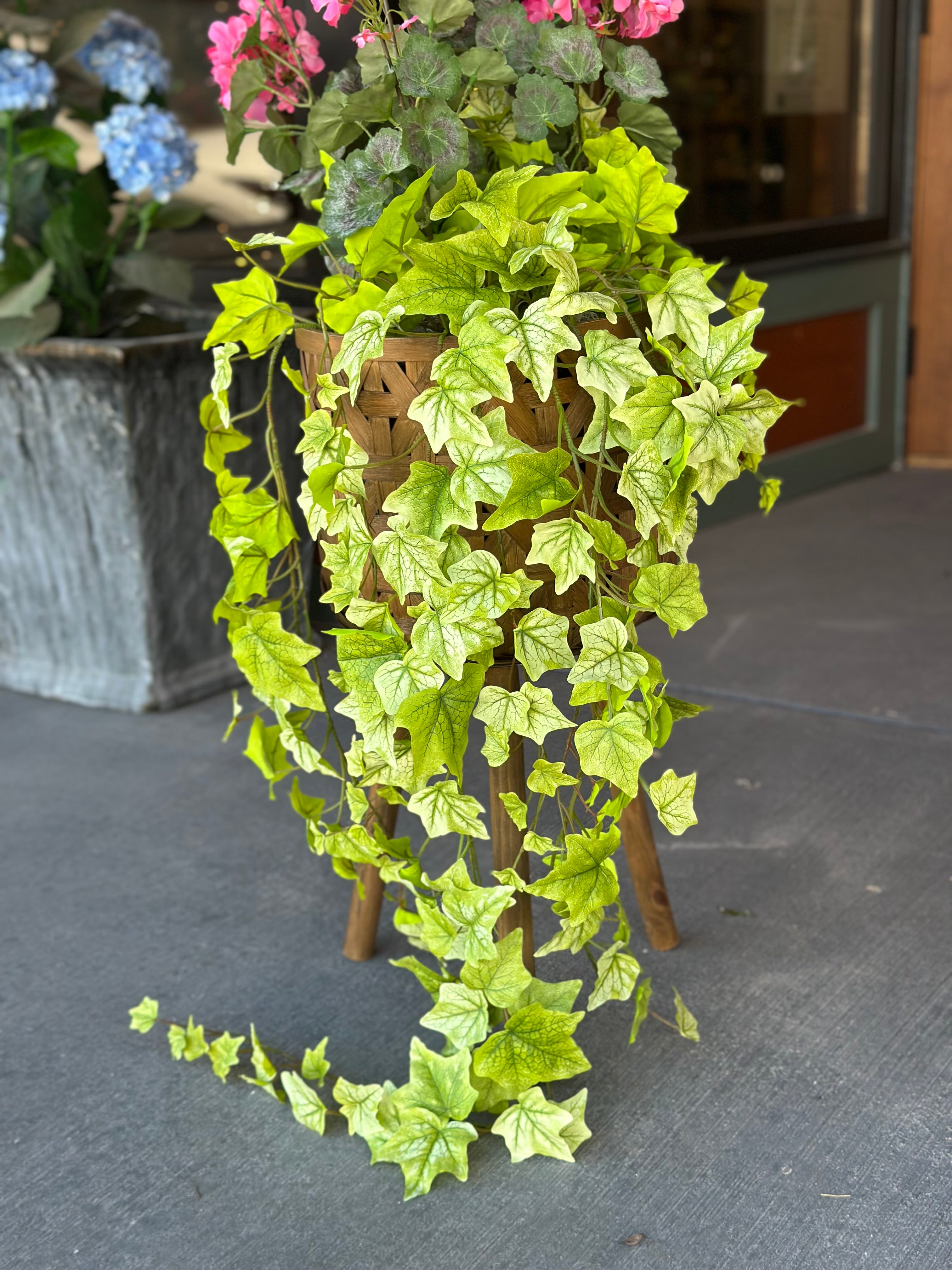 10" Pink Geranium & Holland Ivy Pot Filler