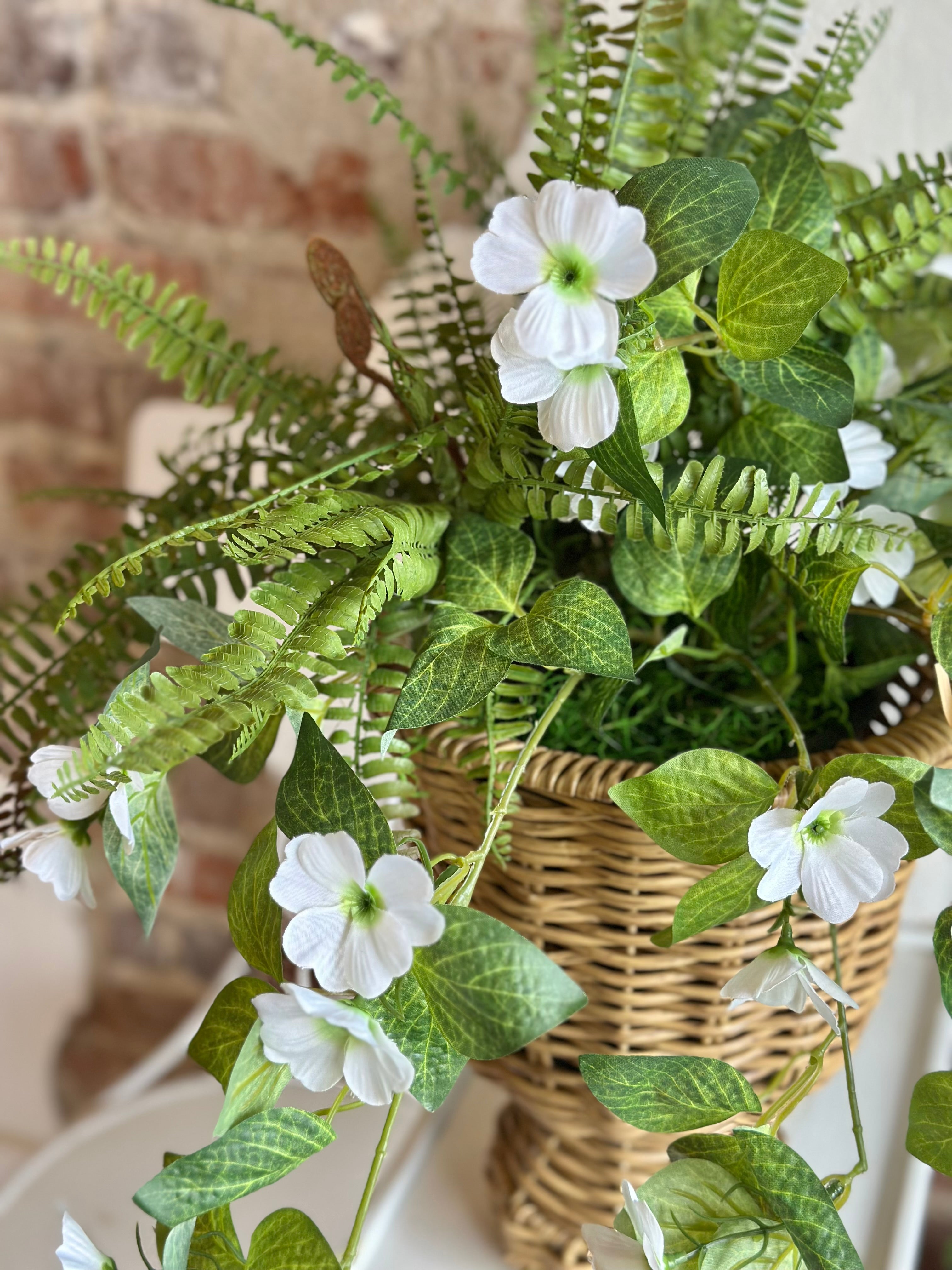 Petunia & Fern Arrangement