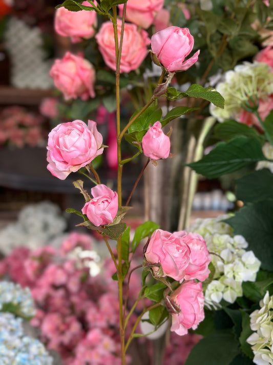 37" JUST CUT GARDEN ROSE BRANCH- PINK