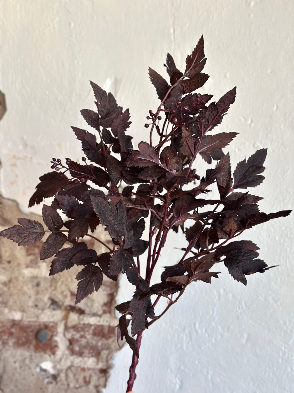 18" AUTUMN RUSCUS WITH BERRY BUSH