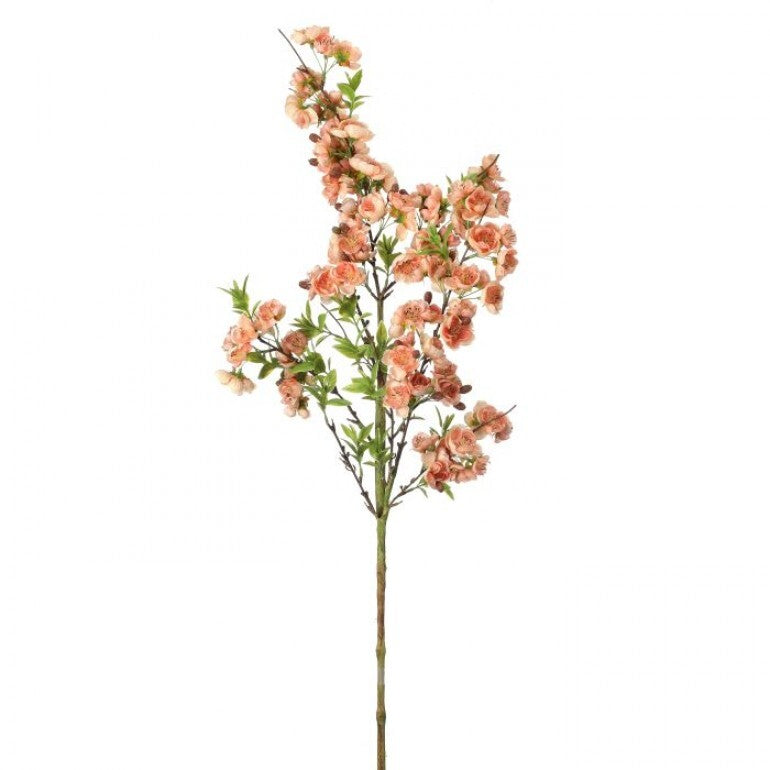 38” Wild Apple Blossom Spray