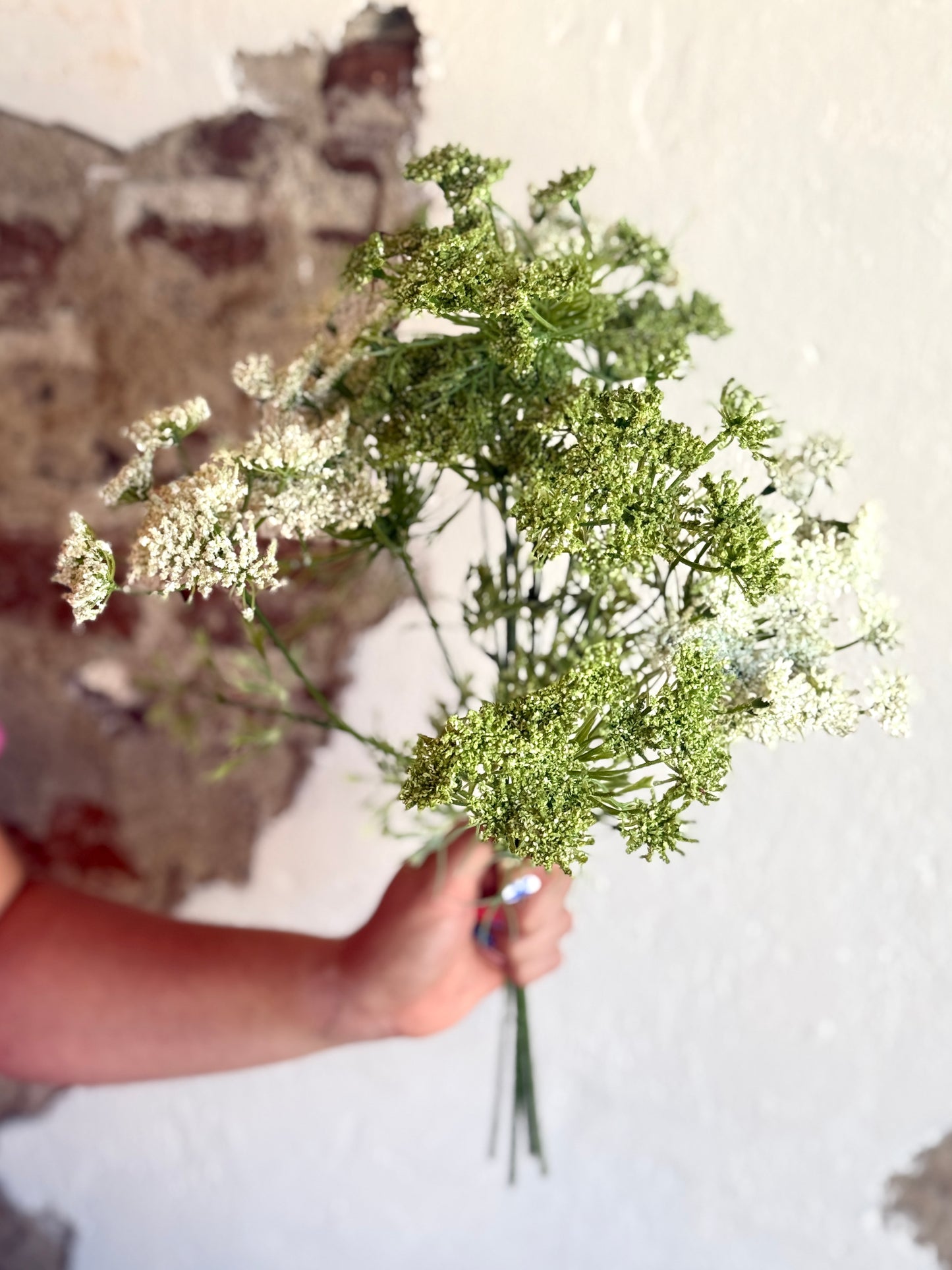 19.5" QUEEN ANNE'S LACE BUNDLE (Multiple Options)