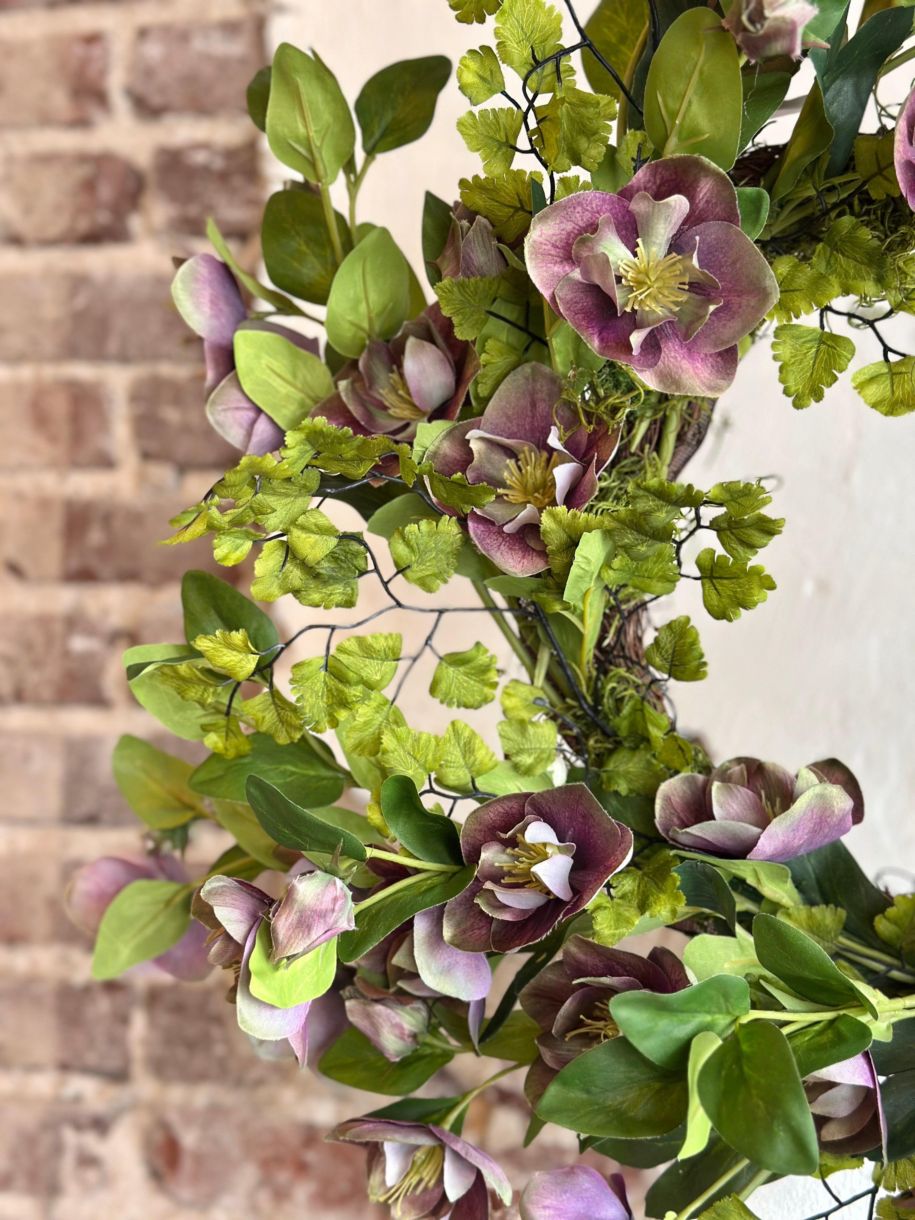Helleborus Wreath