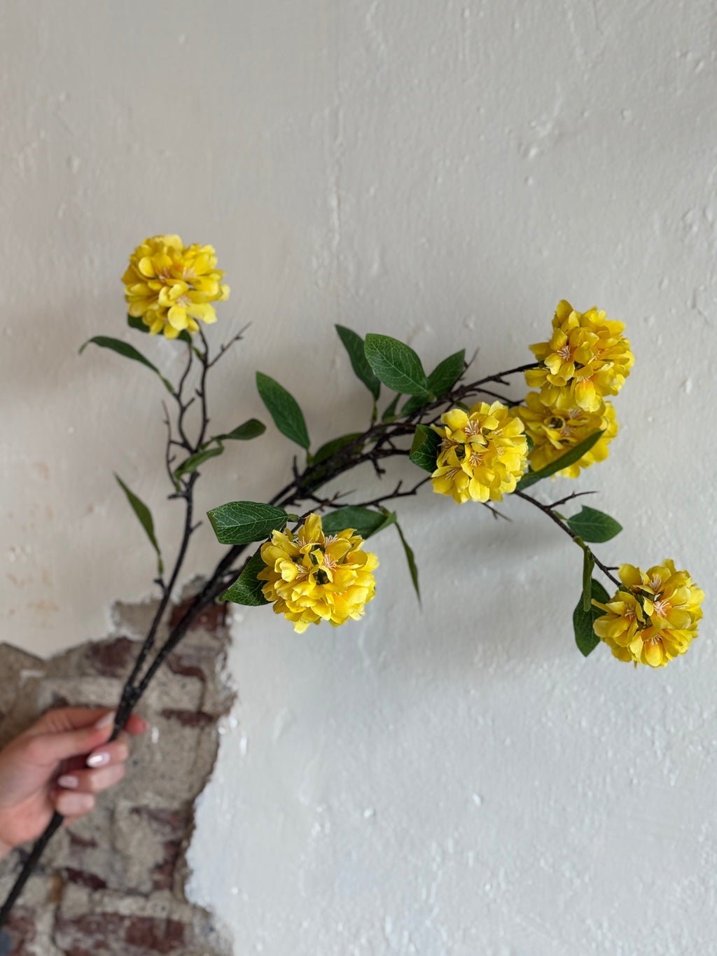 34" Yellow Kerria Spray
