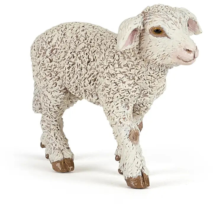 Merinos Lamb