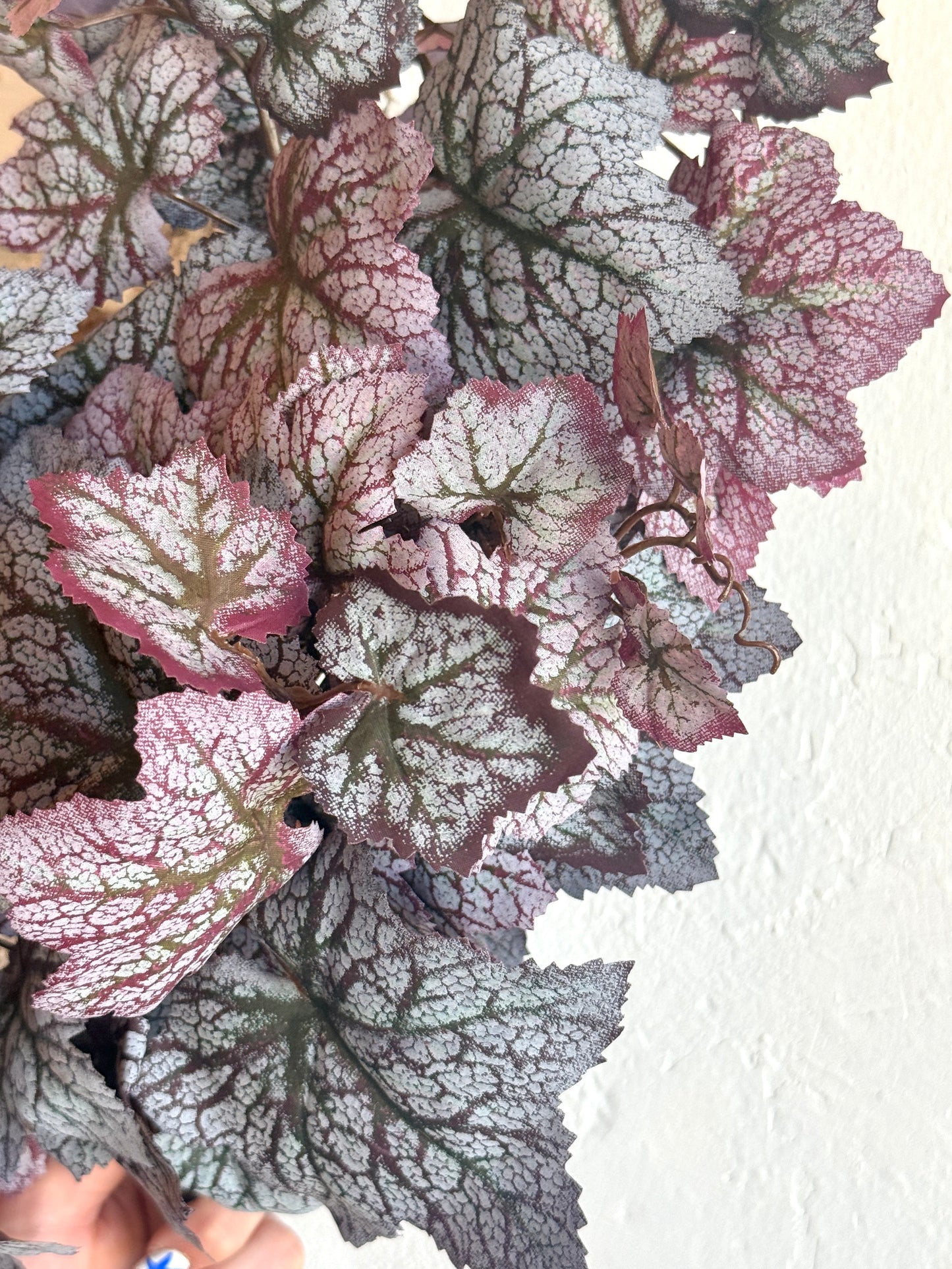 25" FALL SAXIFRAGA HANGING BUSH