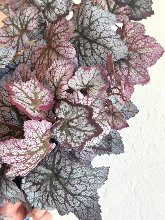 25" FALL SAXIFRAGA HANGING BUSH