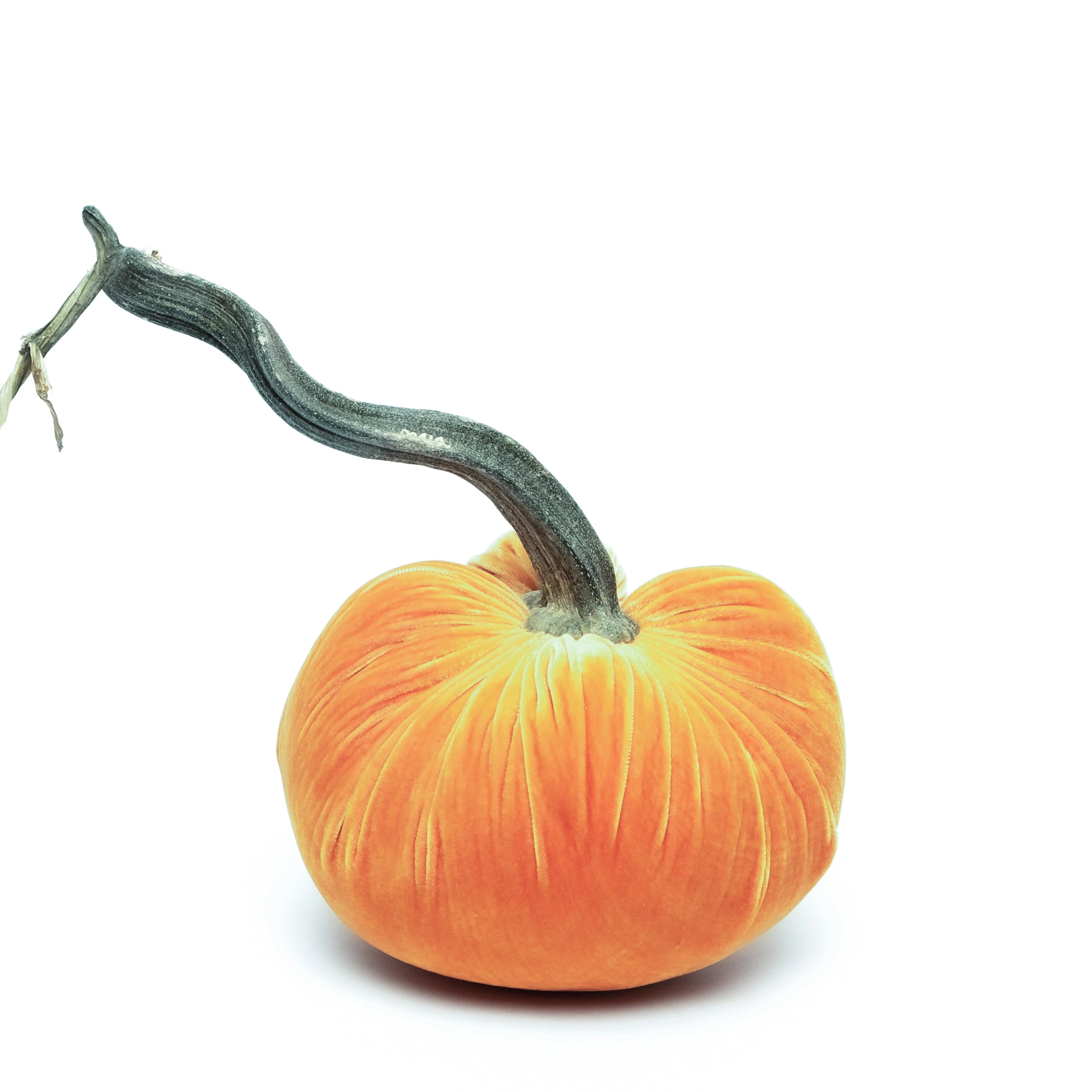 8” Silk Velvet Hot Skwash Pumpkin
