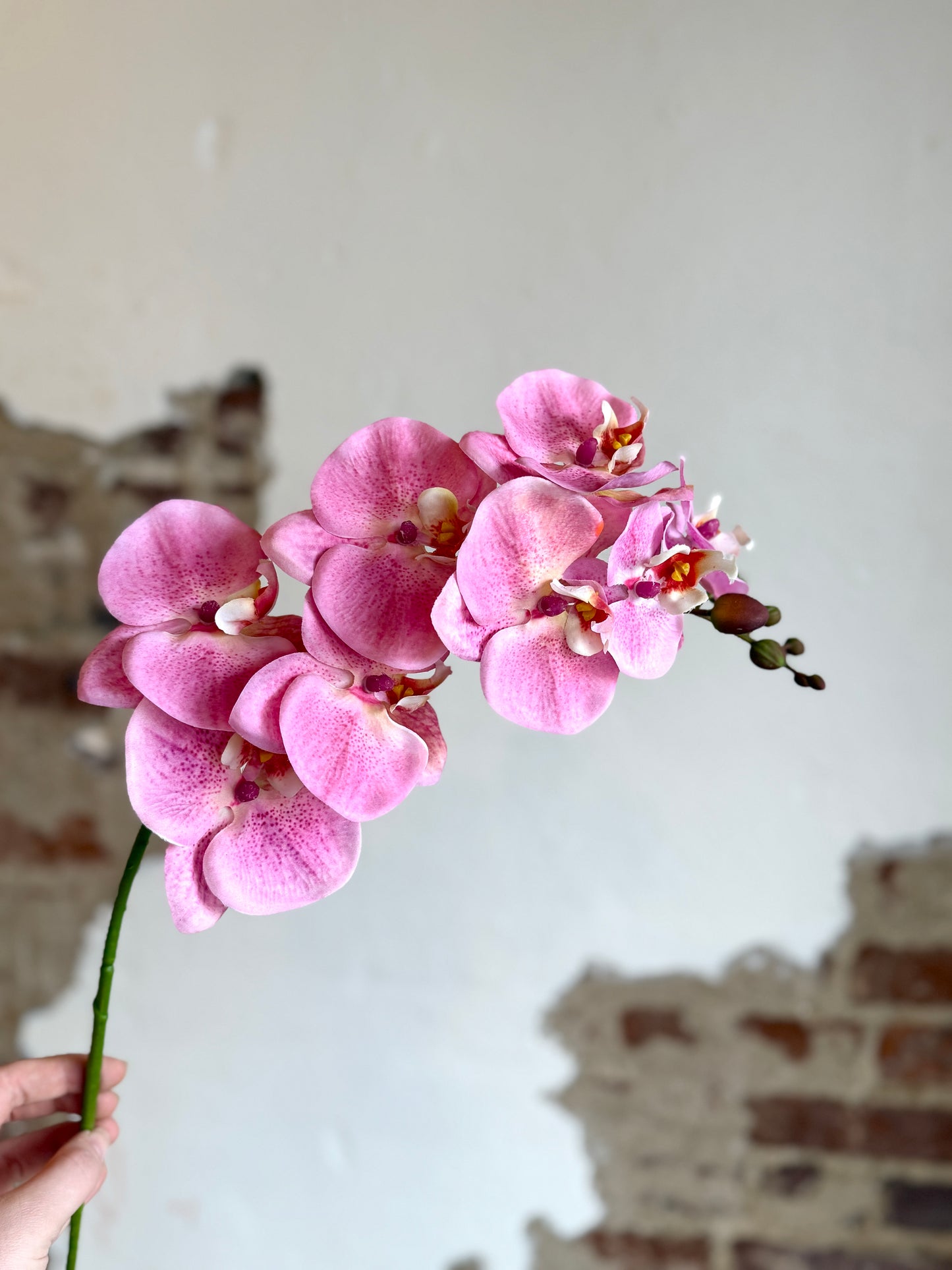 34" Natural Touch Phaleanopsis Blush Pink Orchid
