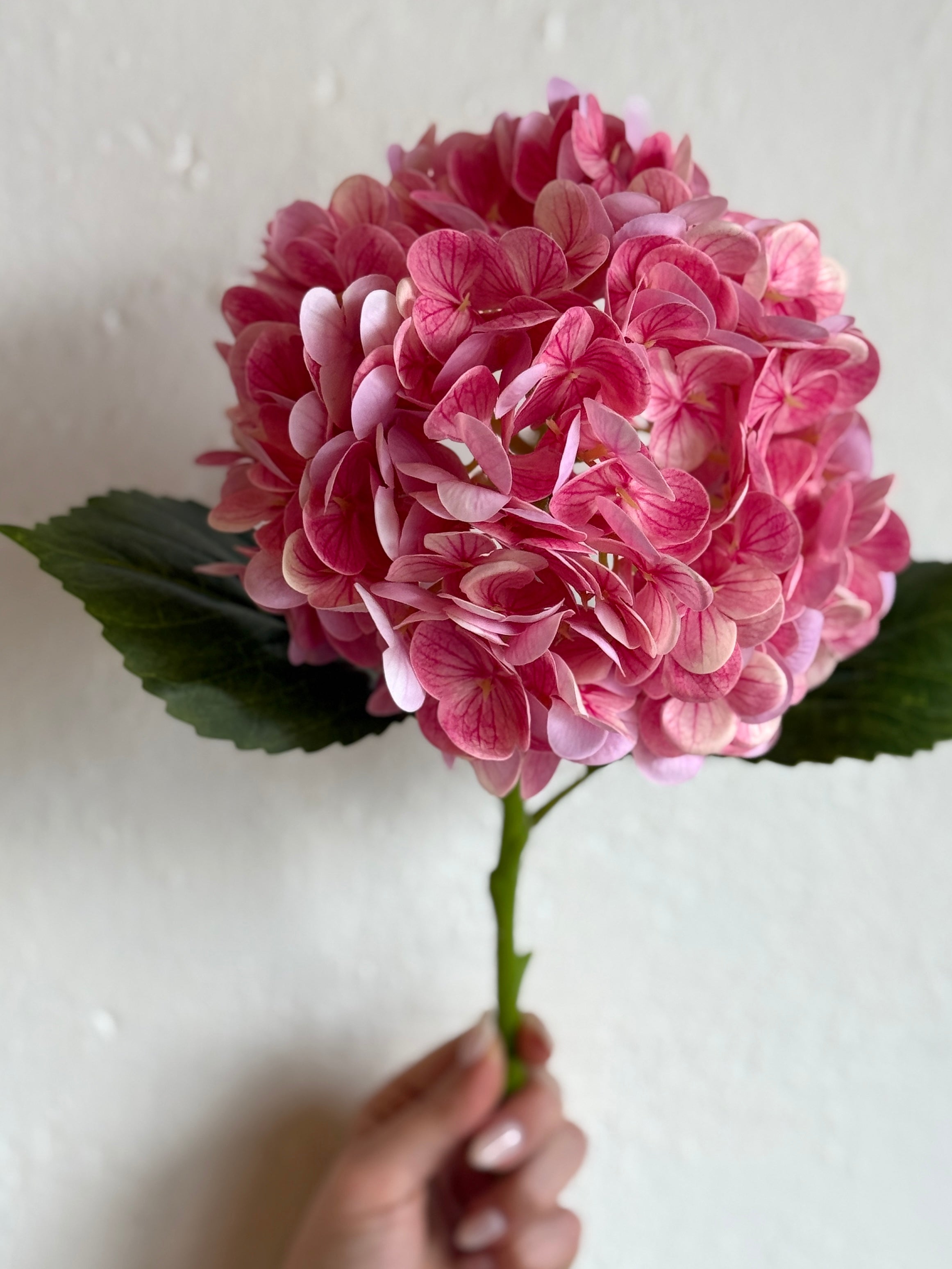 REAL TOUCH HYDRANGEA 18.5"- HOT PINK