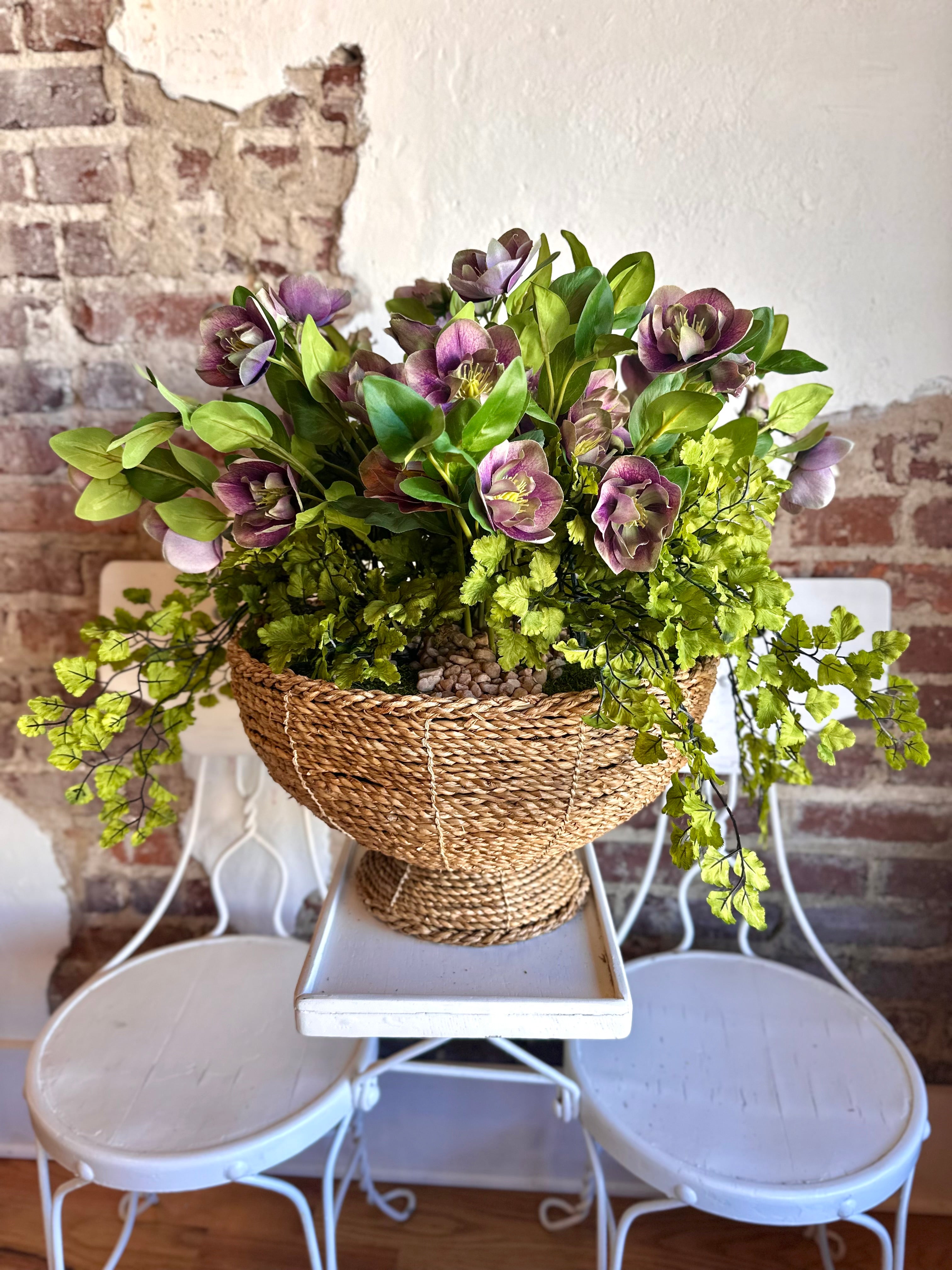 Helleborus Arrangement
