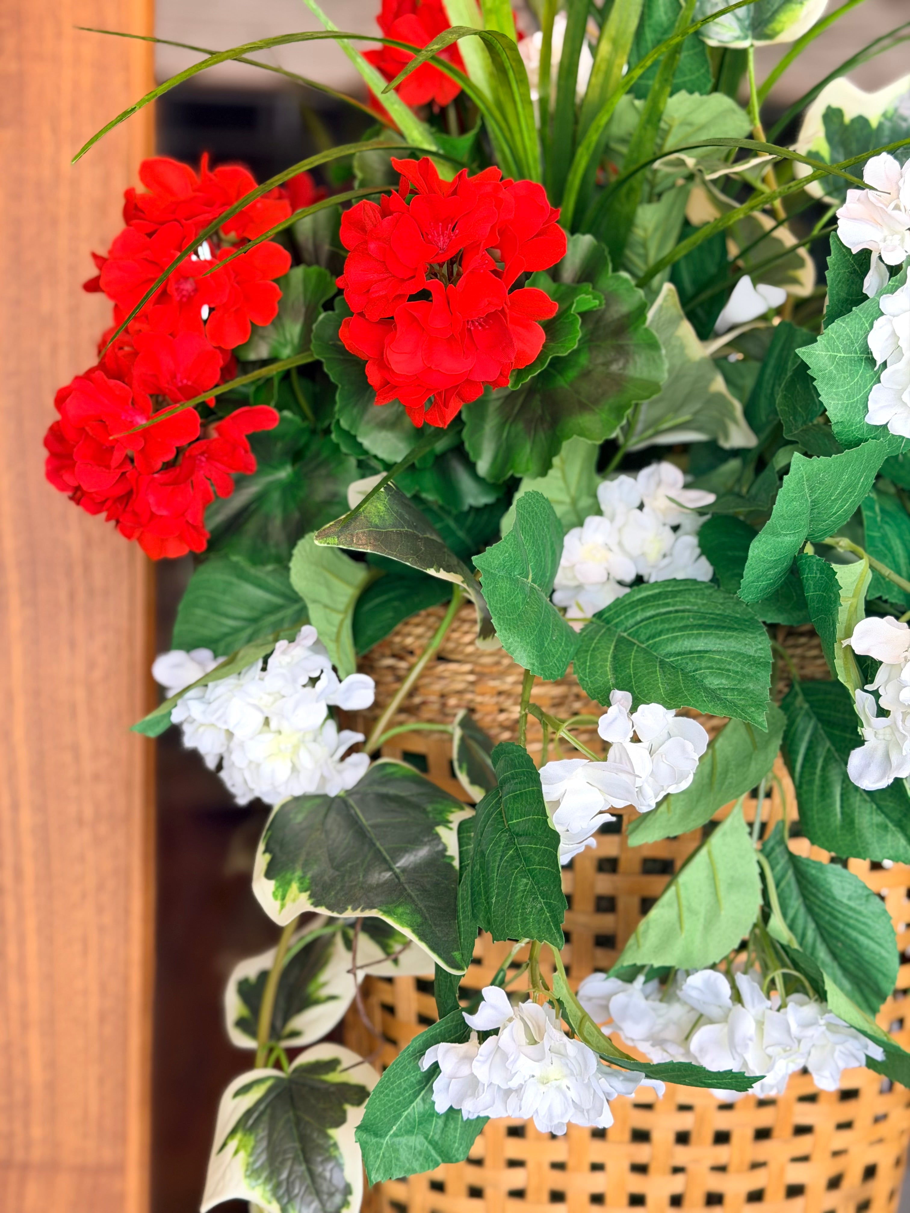 Geraniums Hanging Basket