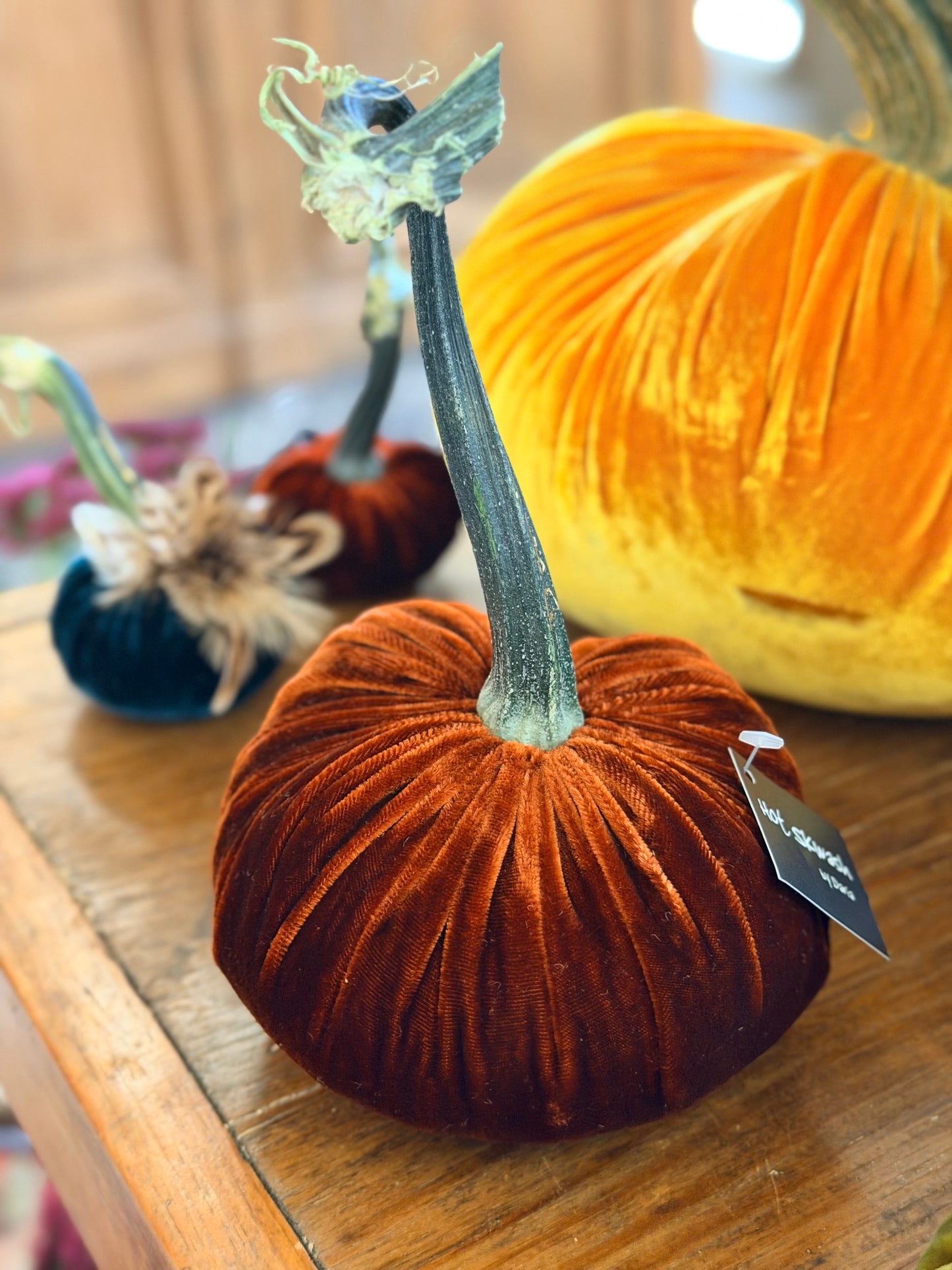 5" Velvet Pumpkin (Silk Options)