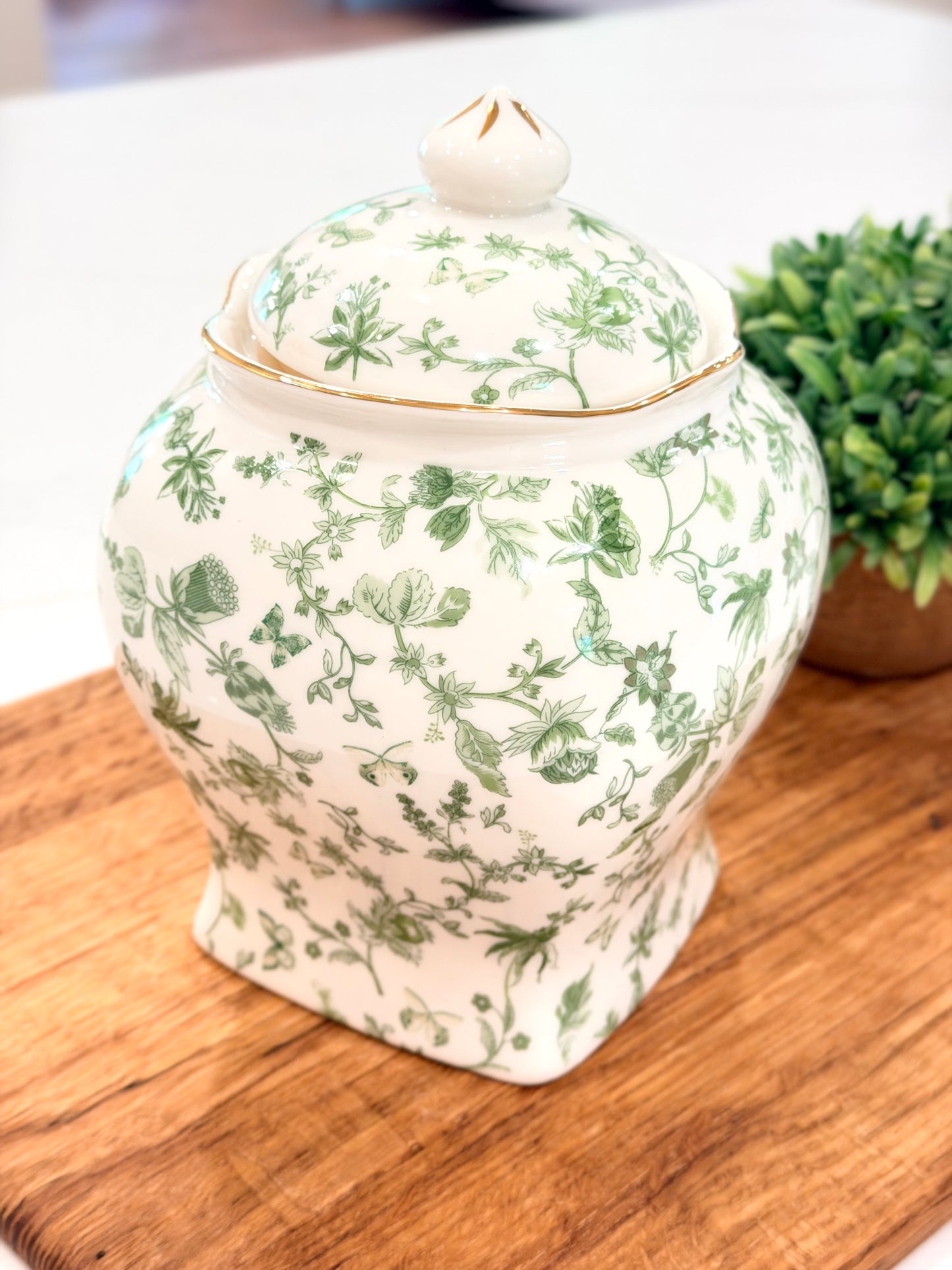 7.5” Green Garden Fine Porcelain Candle, Mango & Coconut Milk