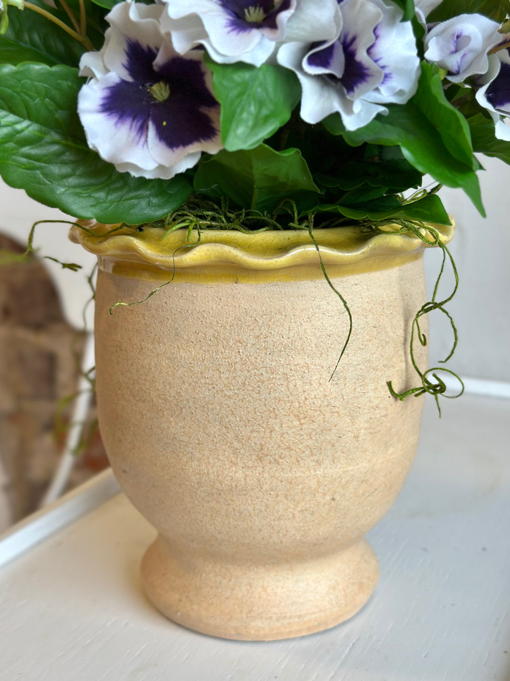 Purple Potted Pansies- Ruffled Pot