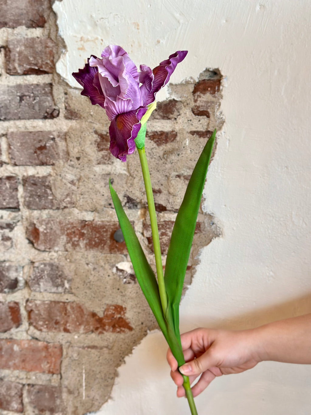 28" Natural Touch Bearded Iris- Violet
