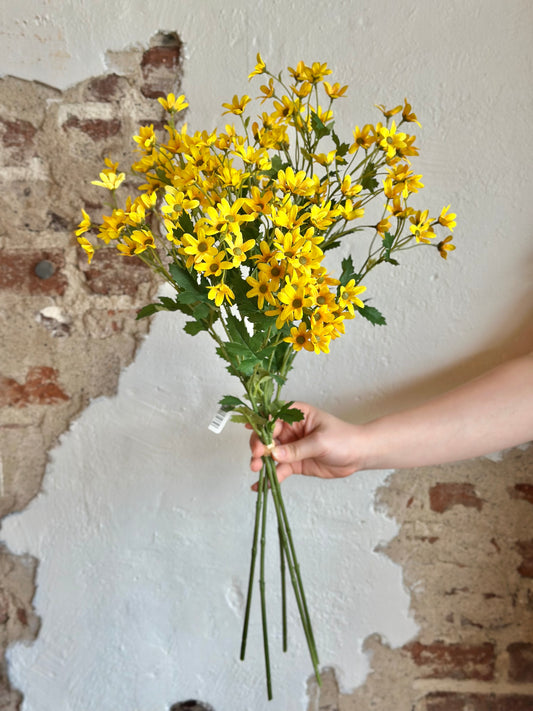 26” Mini Daisy Bundle