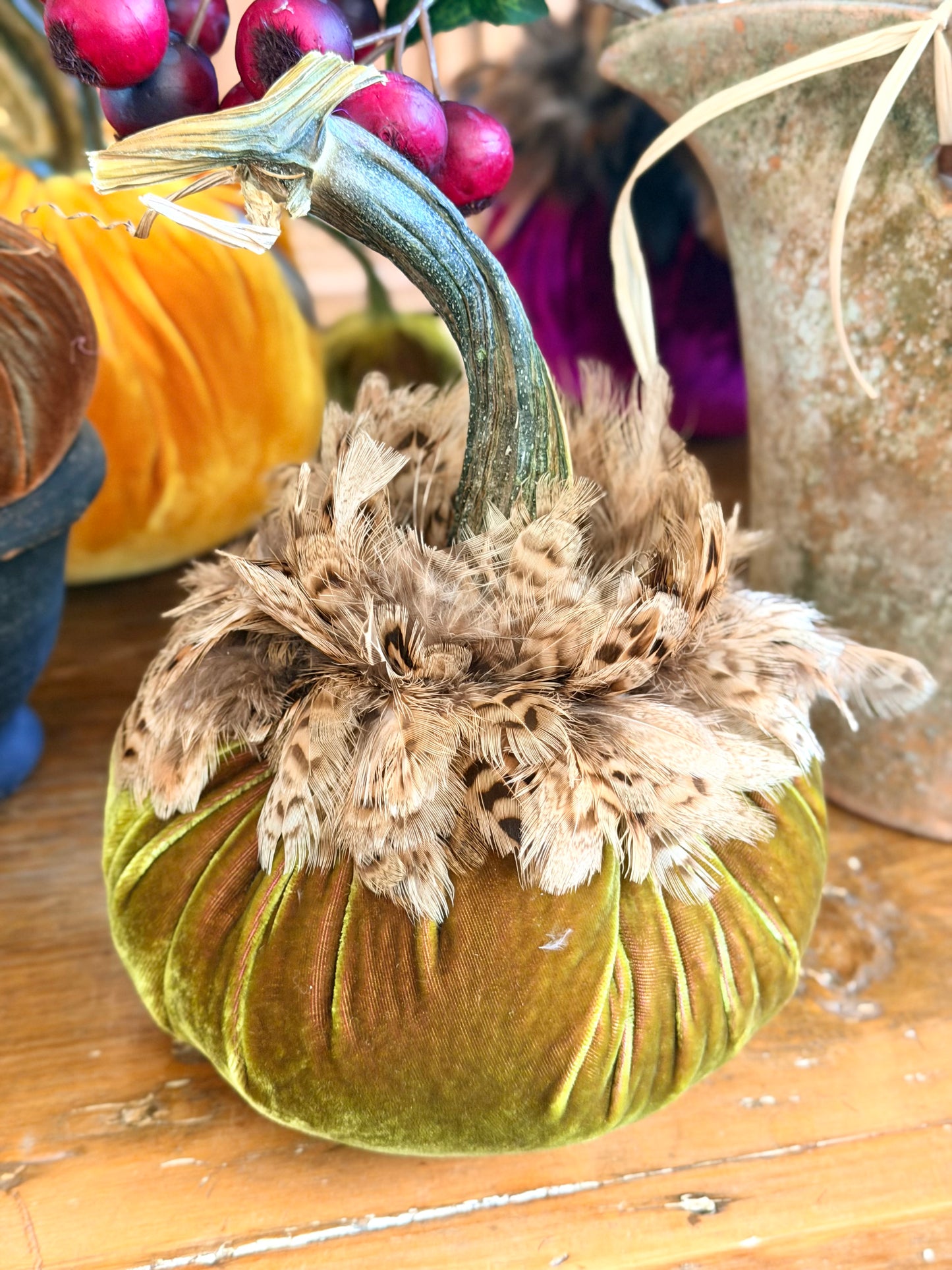6" Cactus Velvet Pumpkin with Natural Ringneck Pheasant Collar