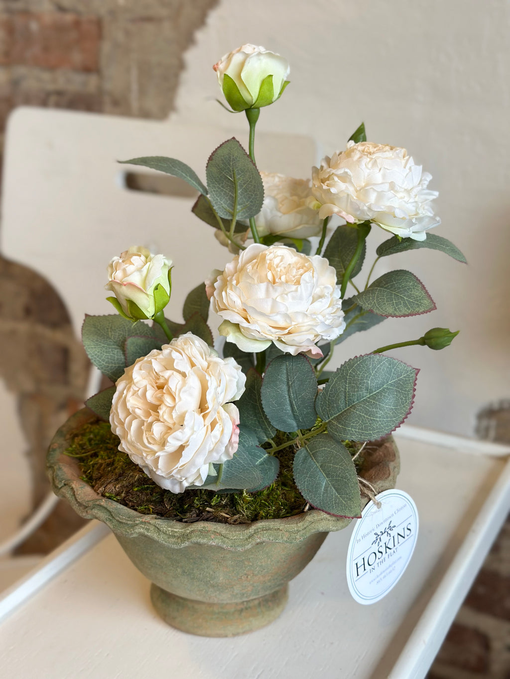 Potted “Freeze-dry” Garden Roses