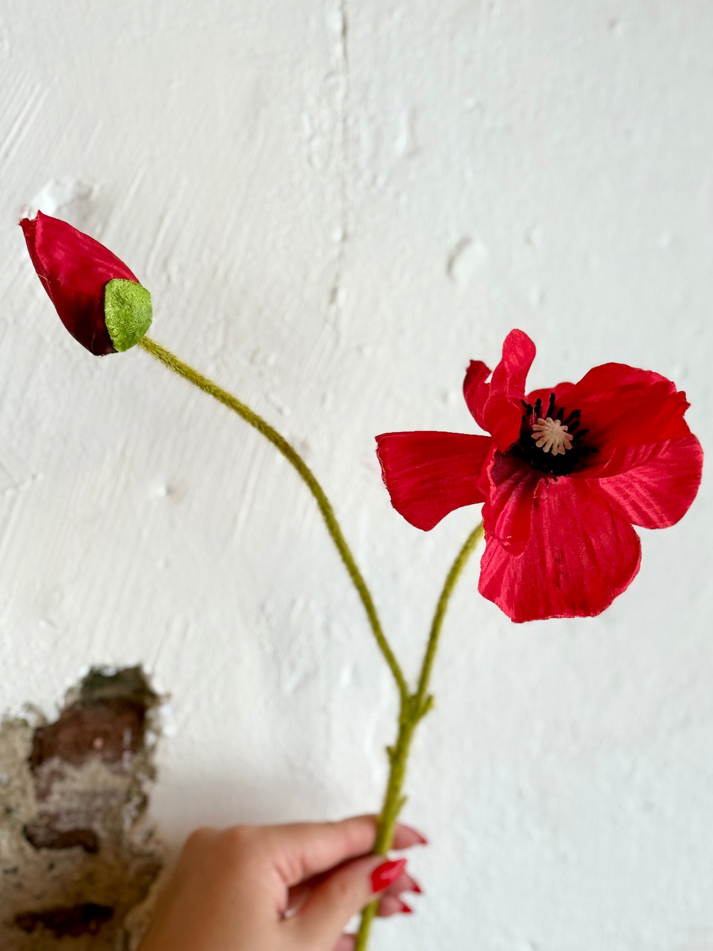 25” Poppy Stem and Bud (Multiple Options)