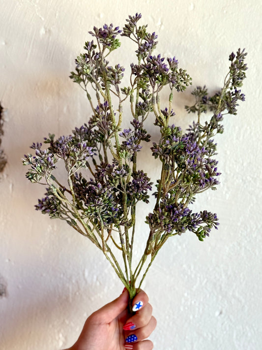 17" Seeds Bush (Multiple Options)